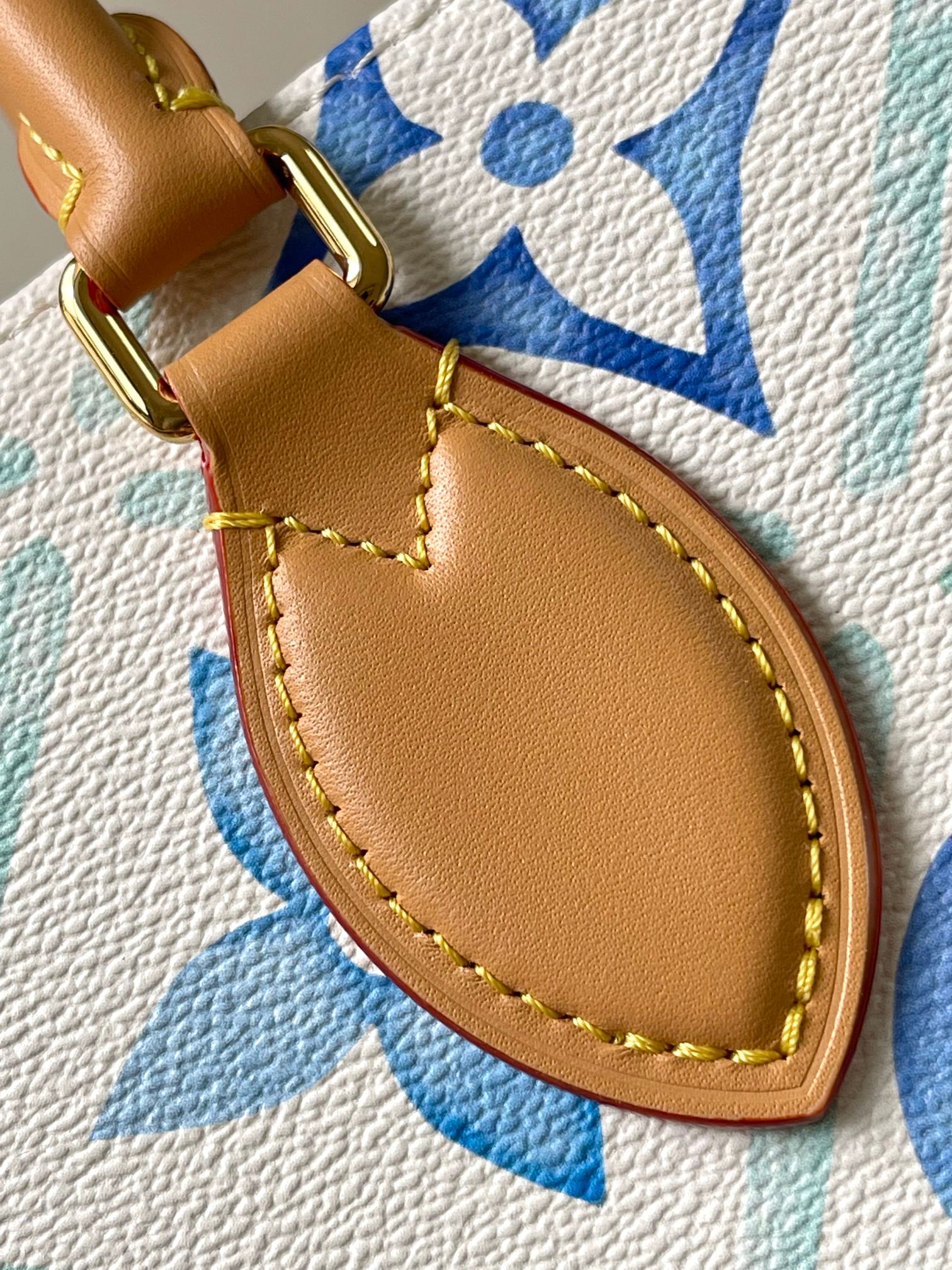 LV Bag
