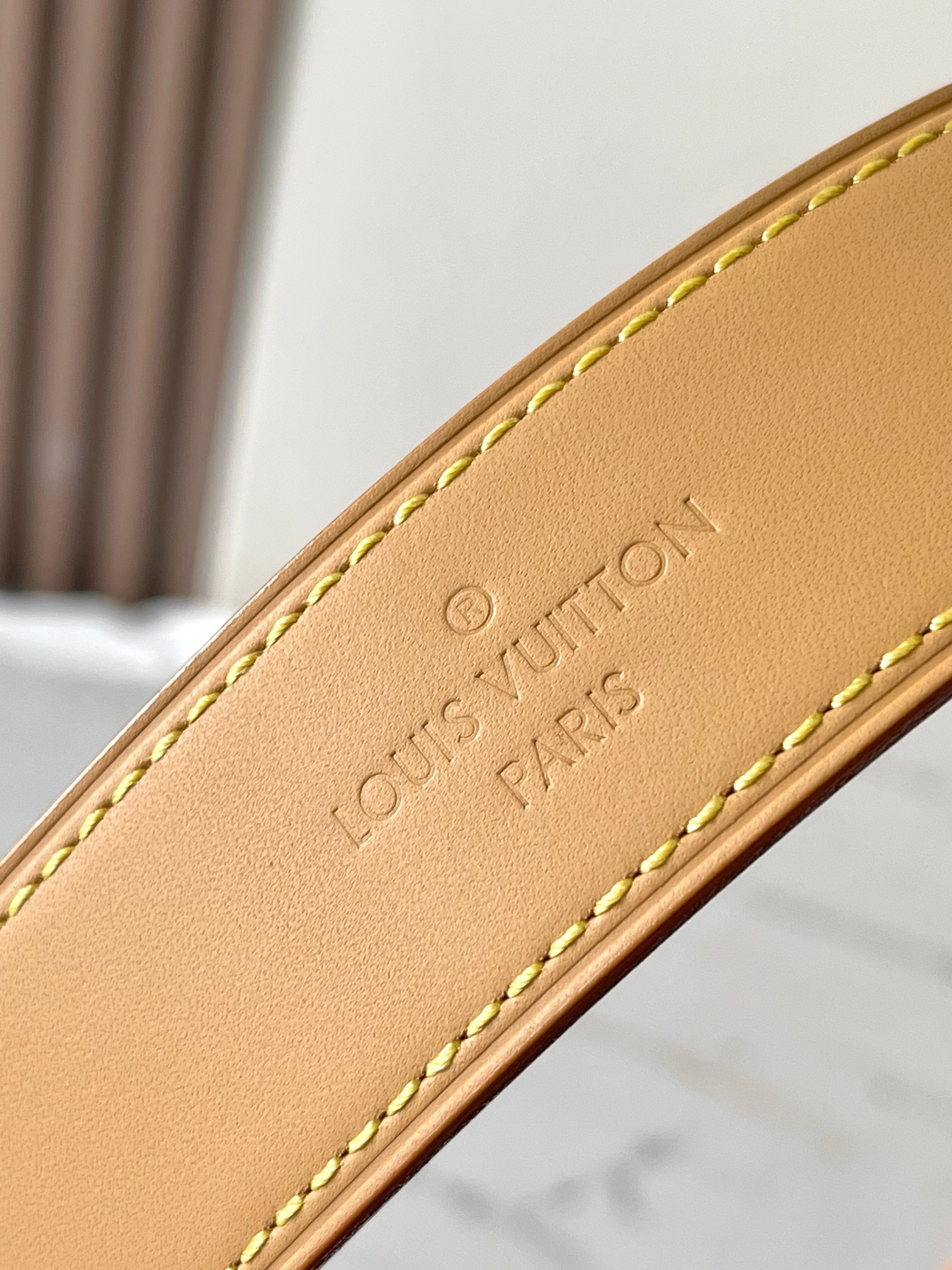 LV Bag