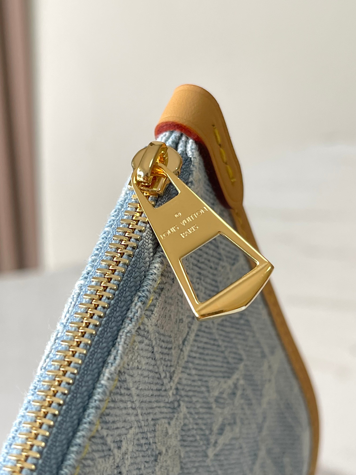 LV Bag