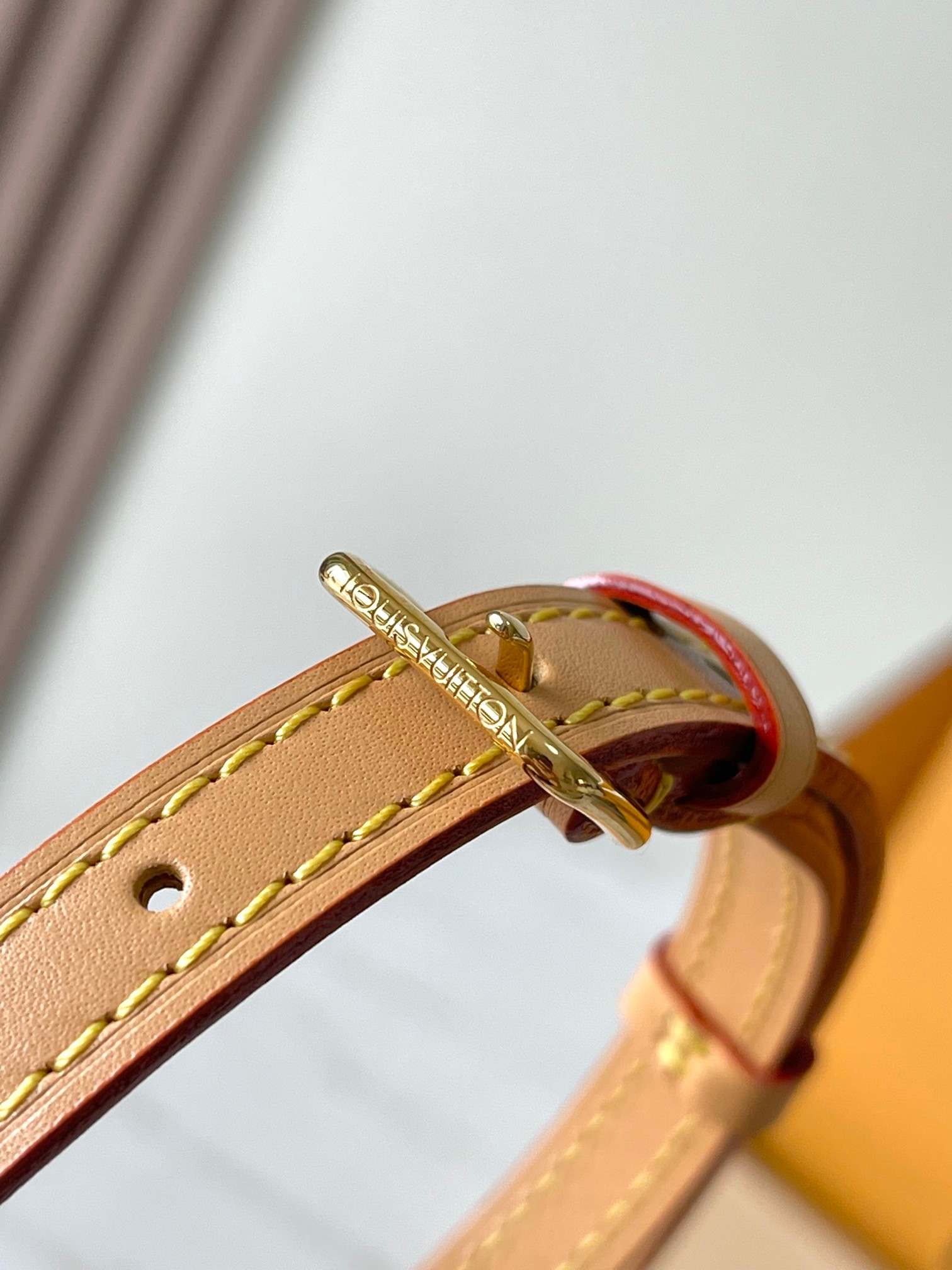 LV Bag