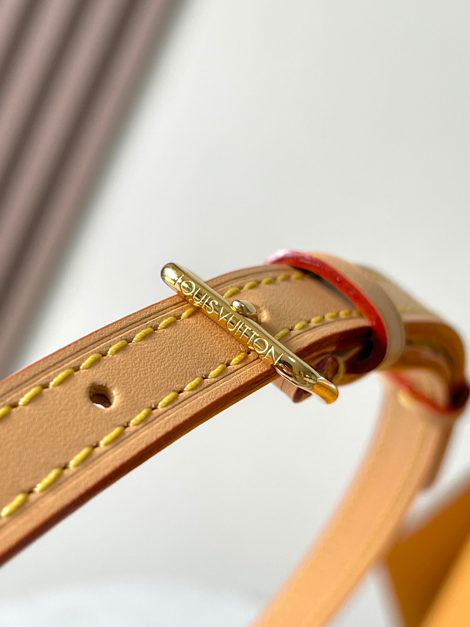 LV Bag