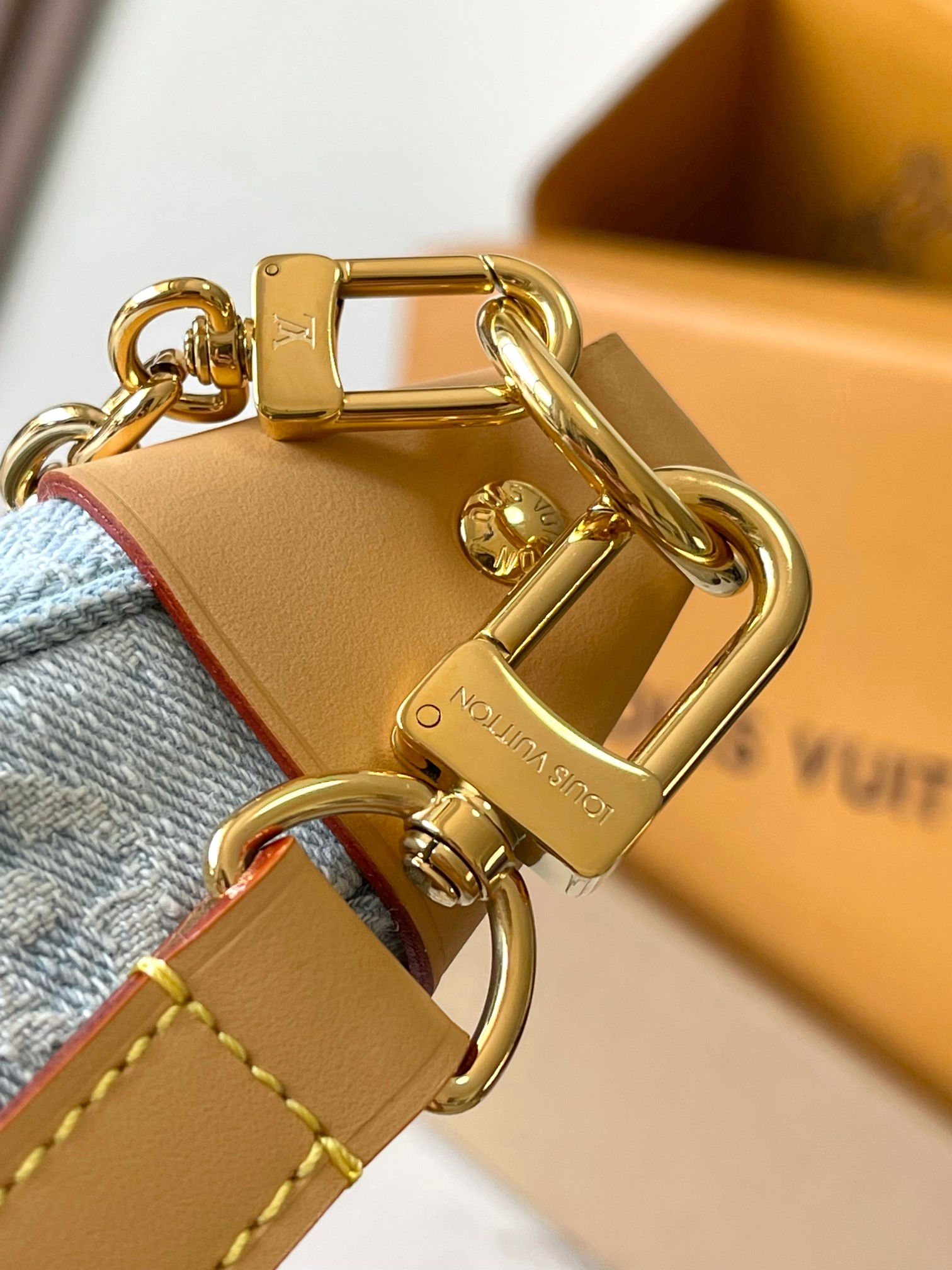 LV Bag