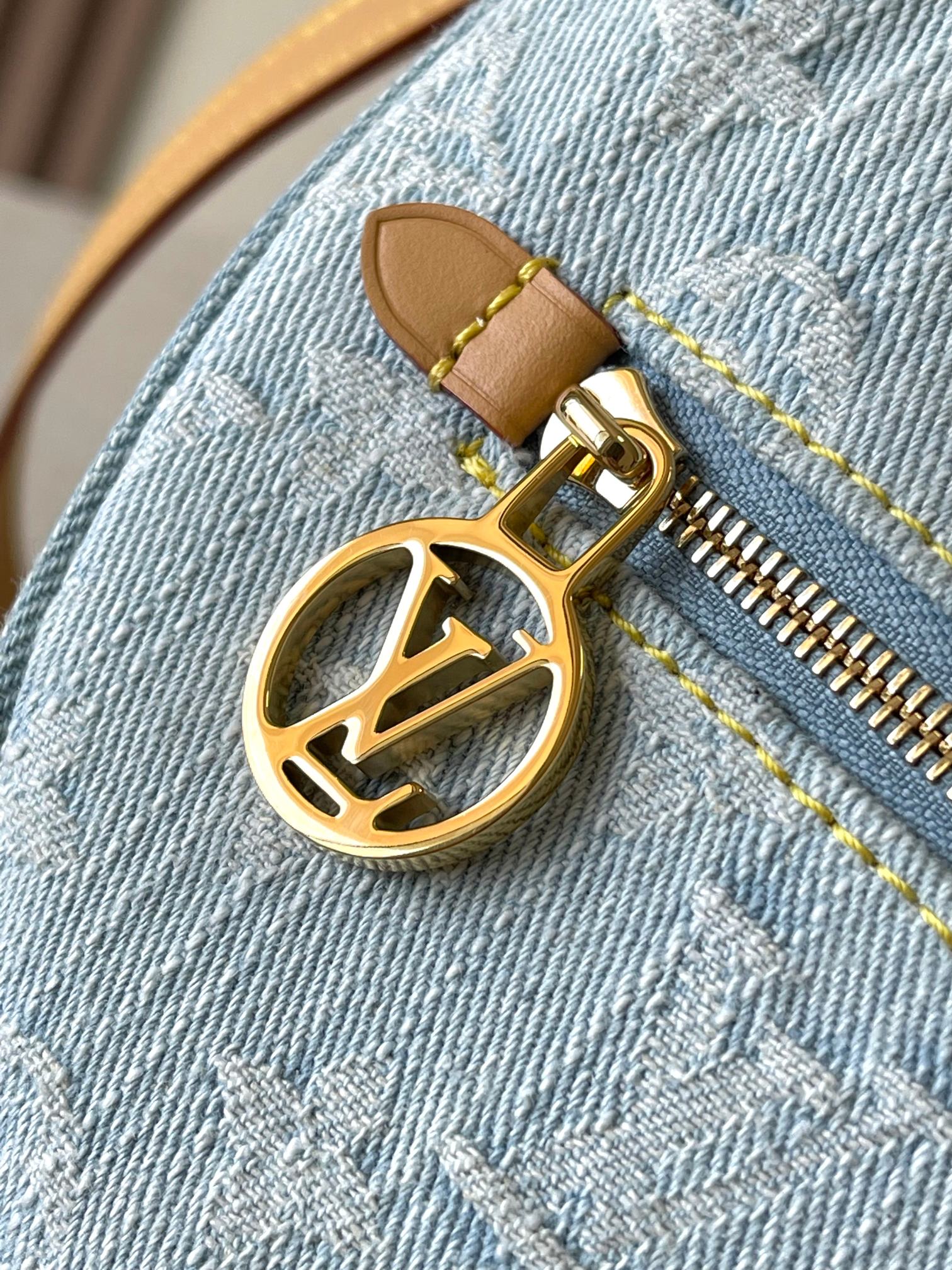 LV Bag