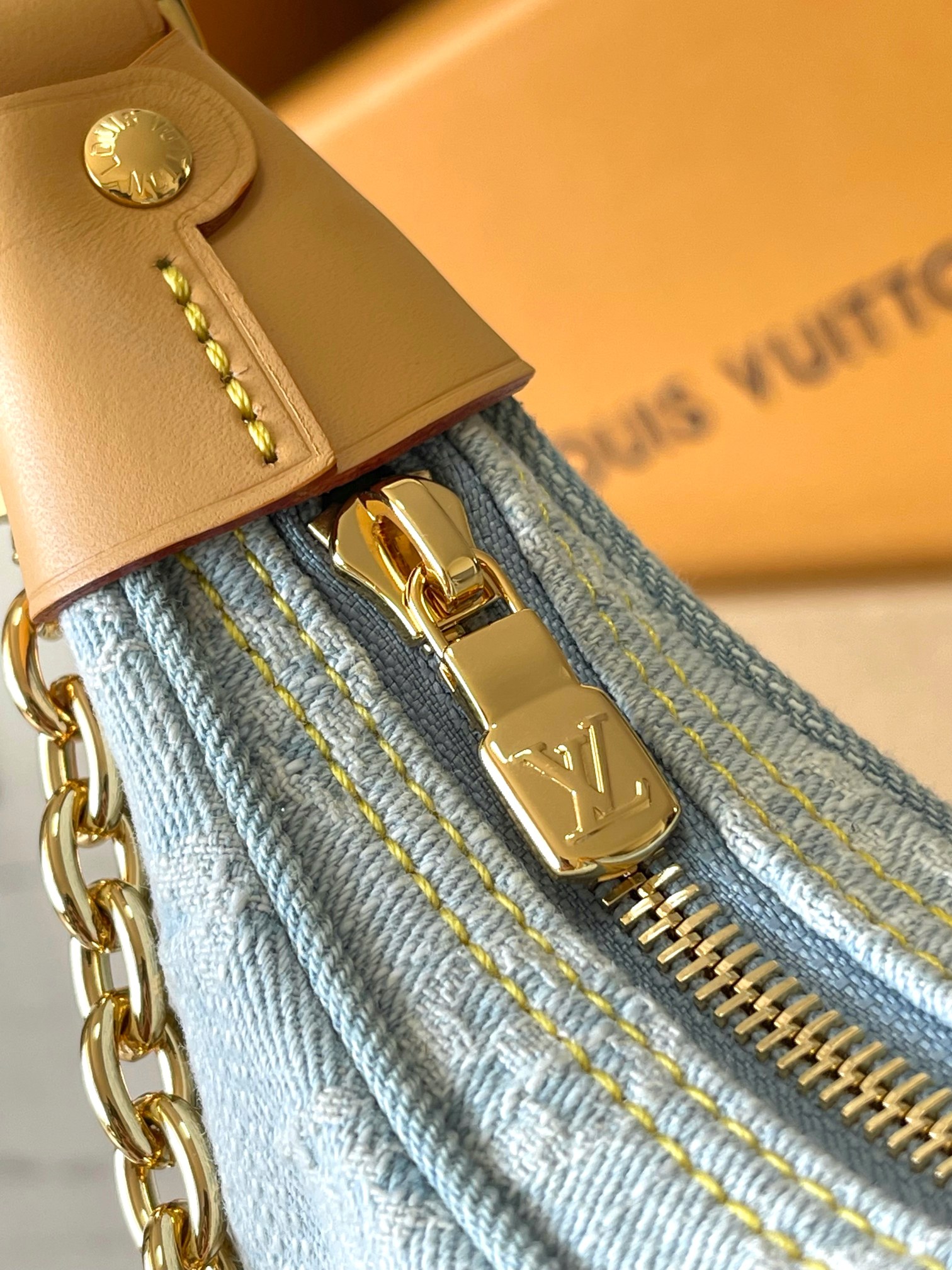 LV Bag