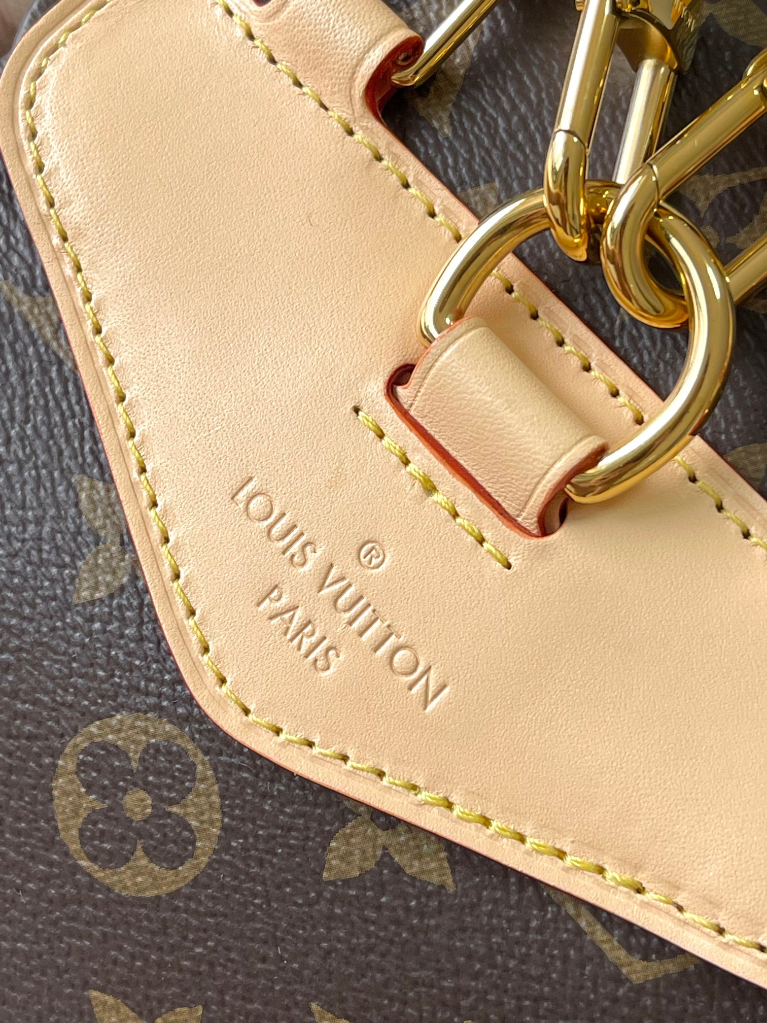 LV Bag