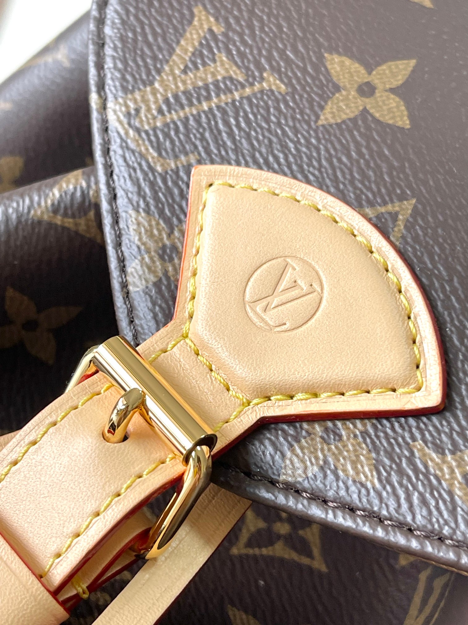 LV Bag