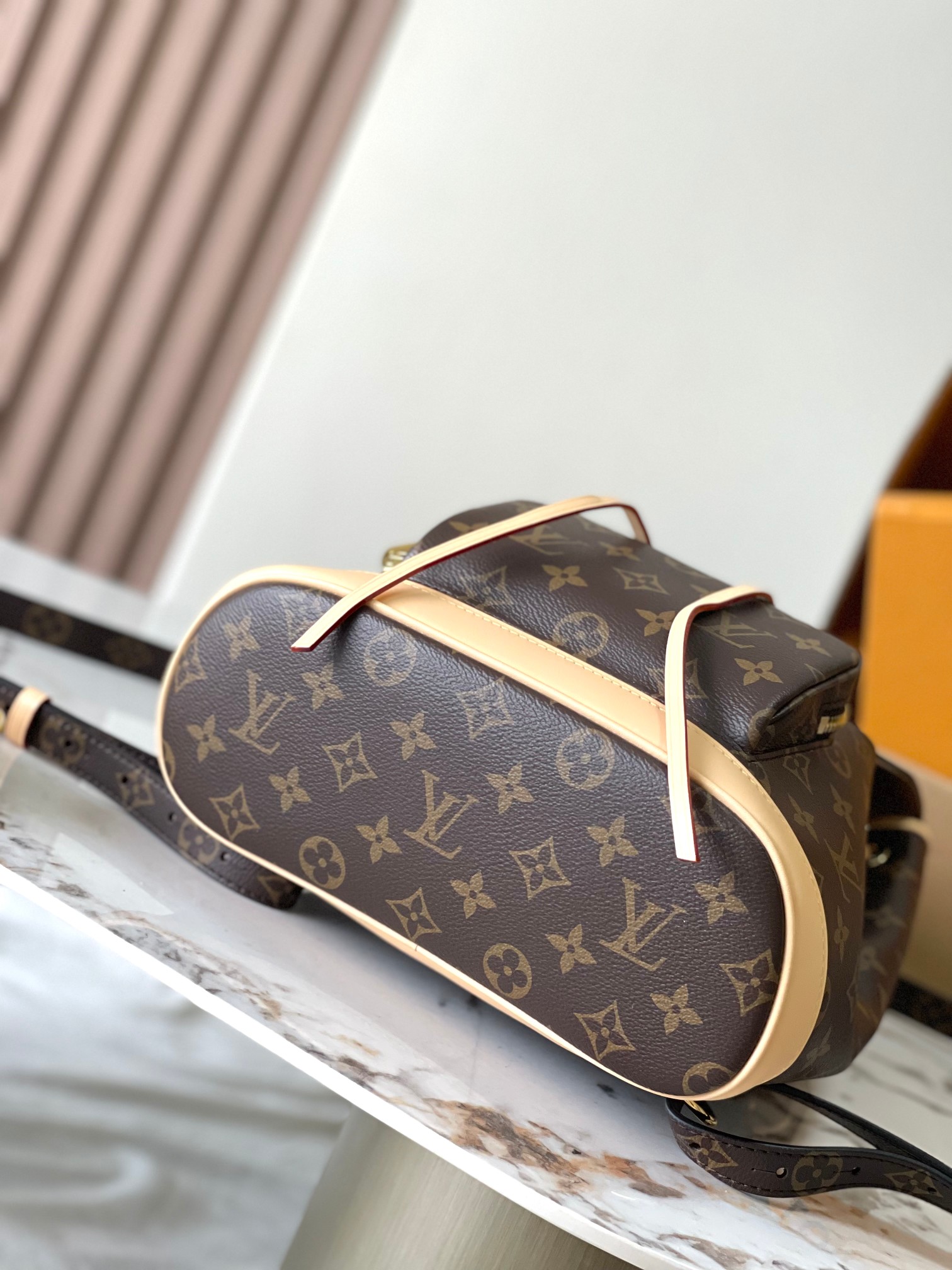 LV Bag