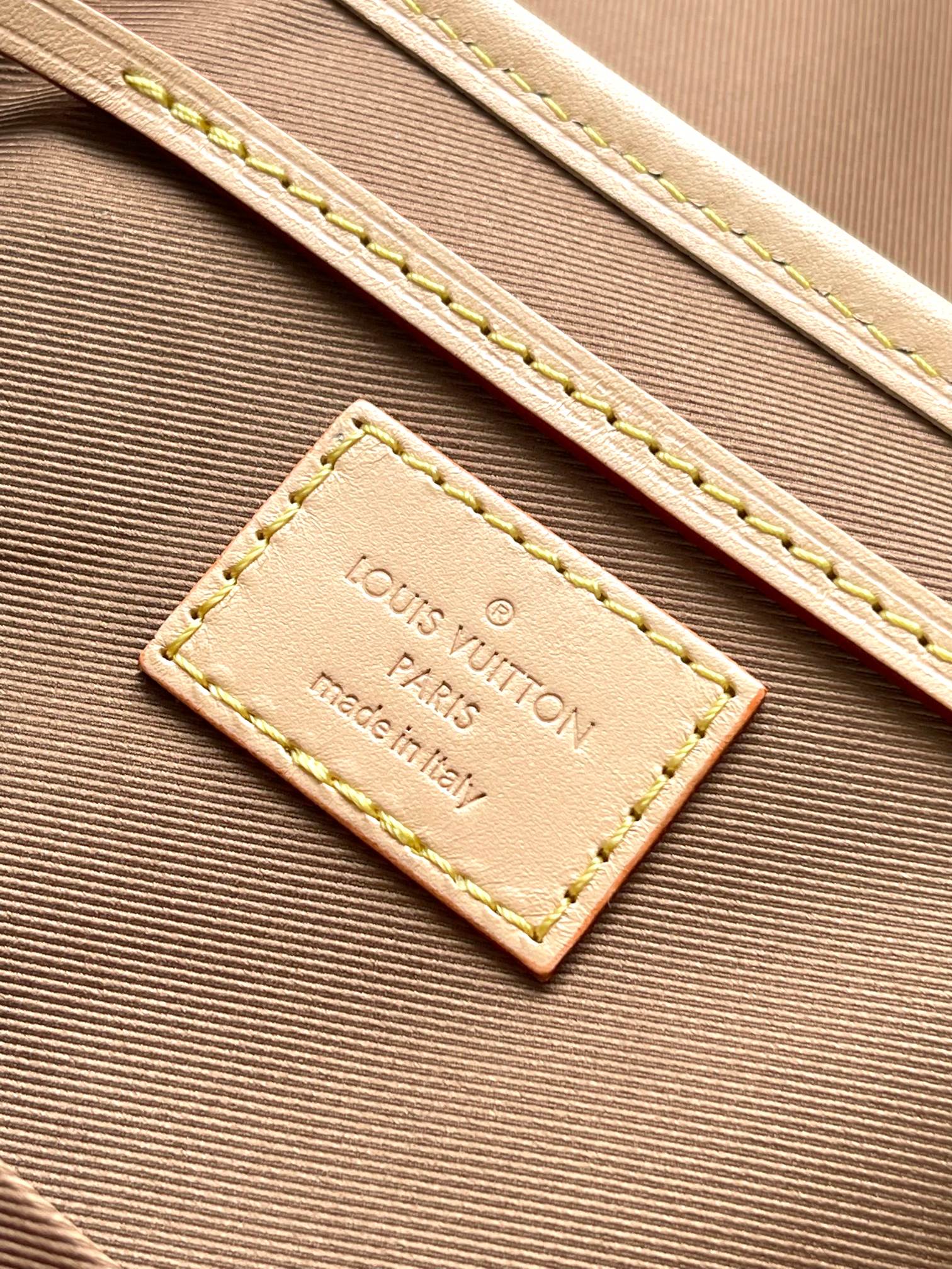 LV Bag