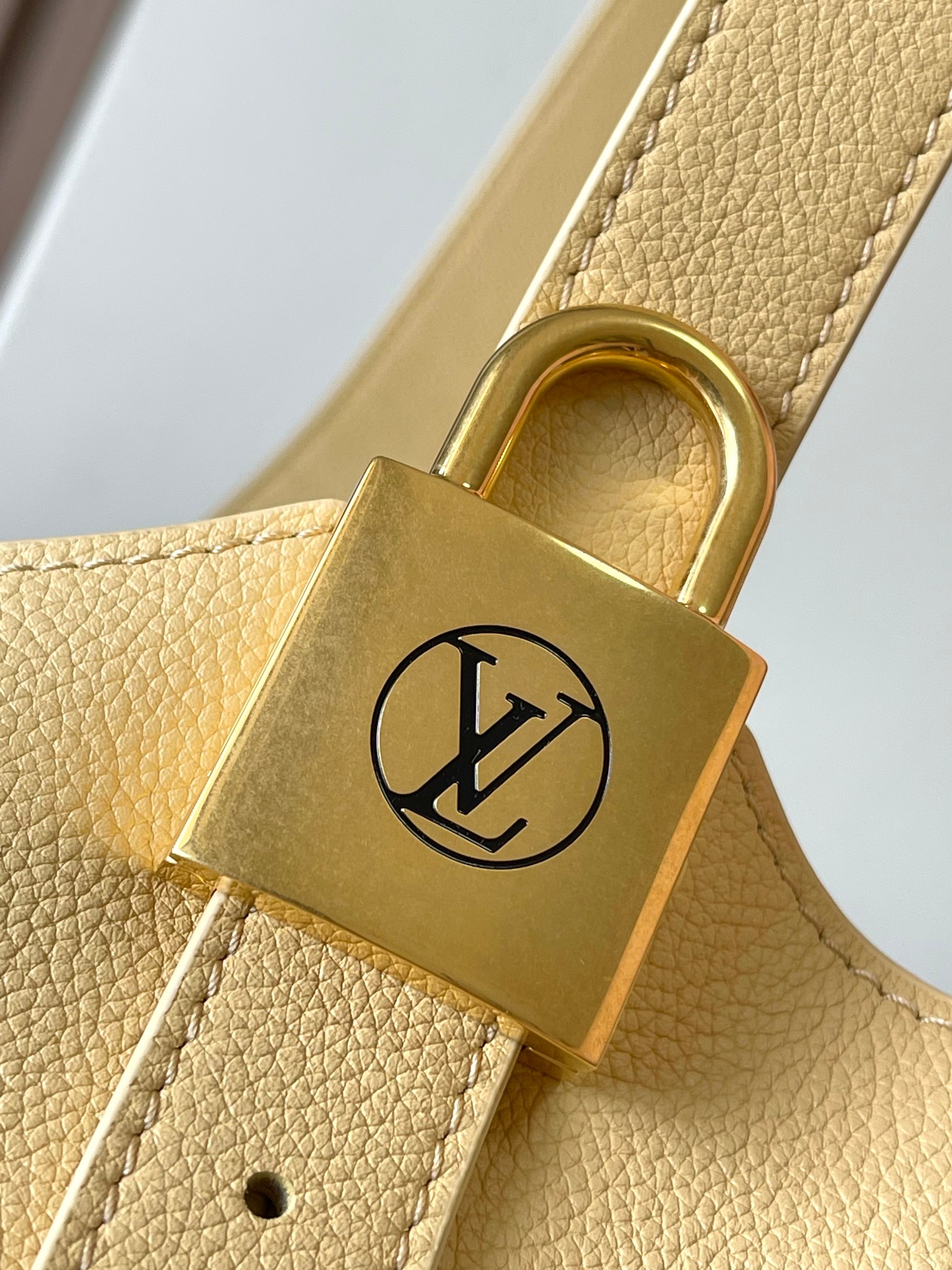 LV Bag