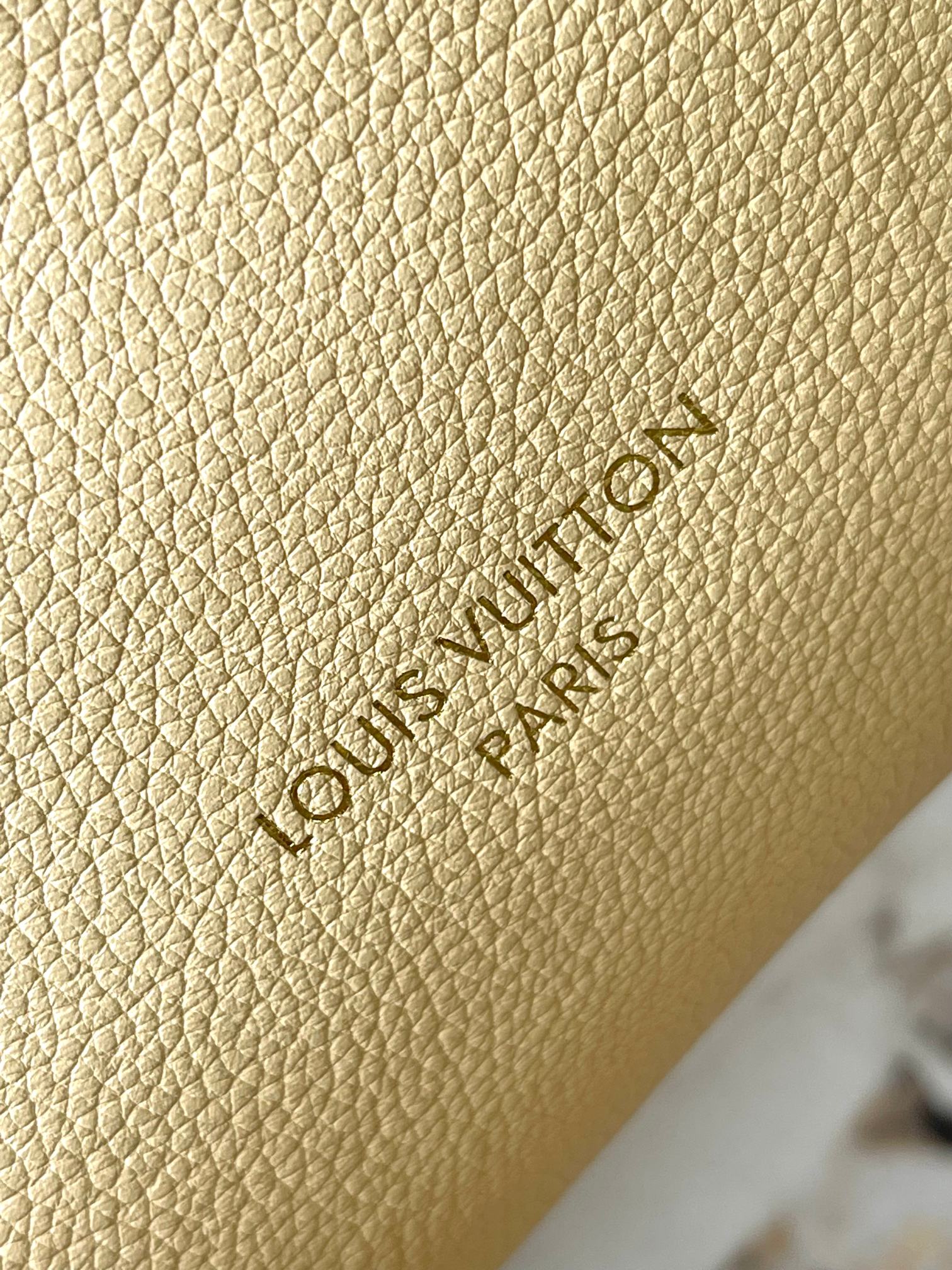 LV Bag