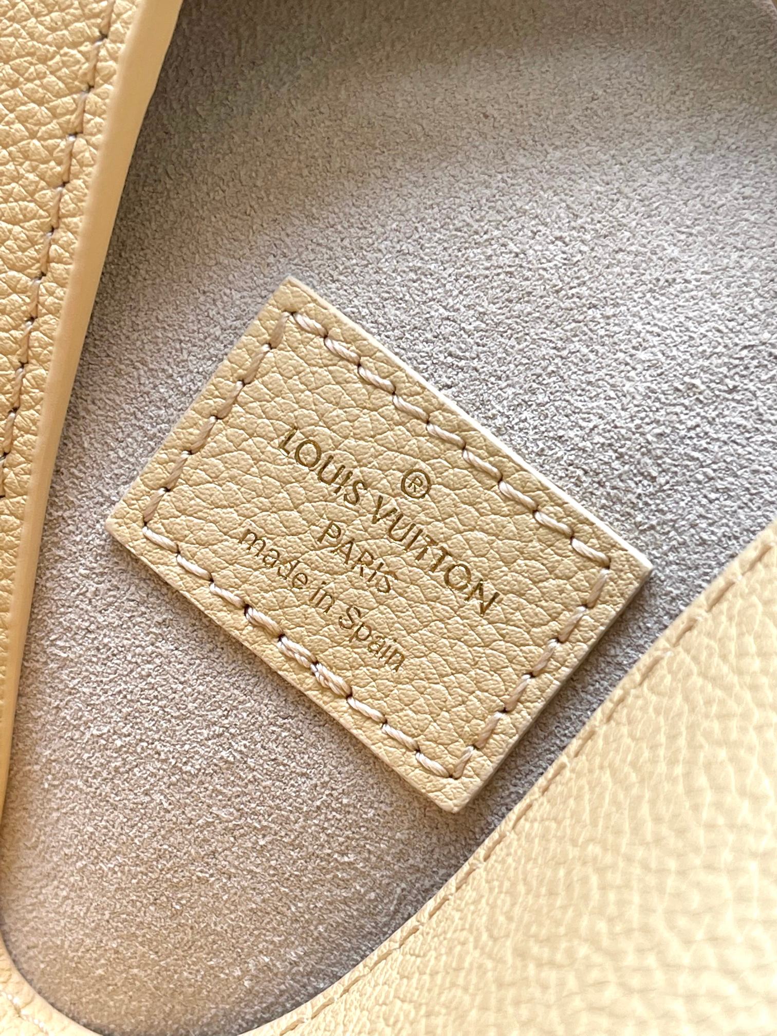 LV Bag