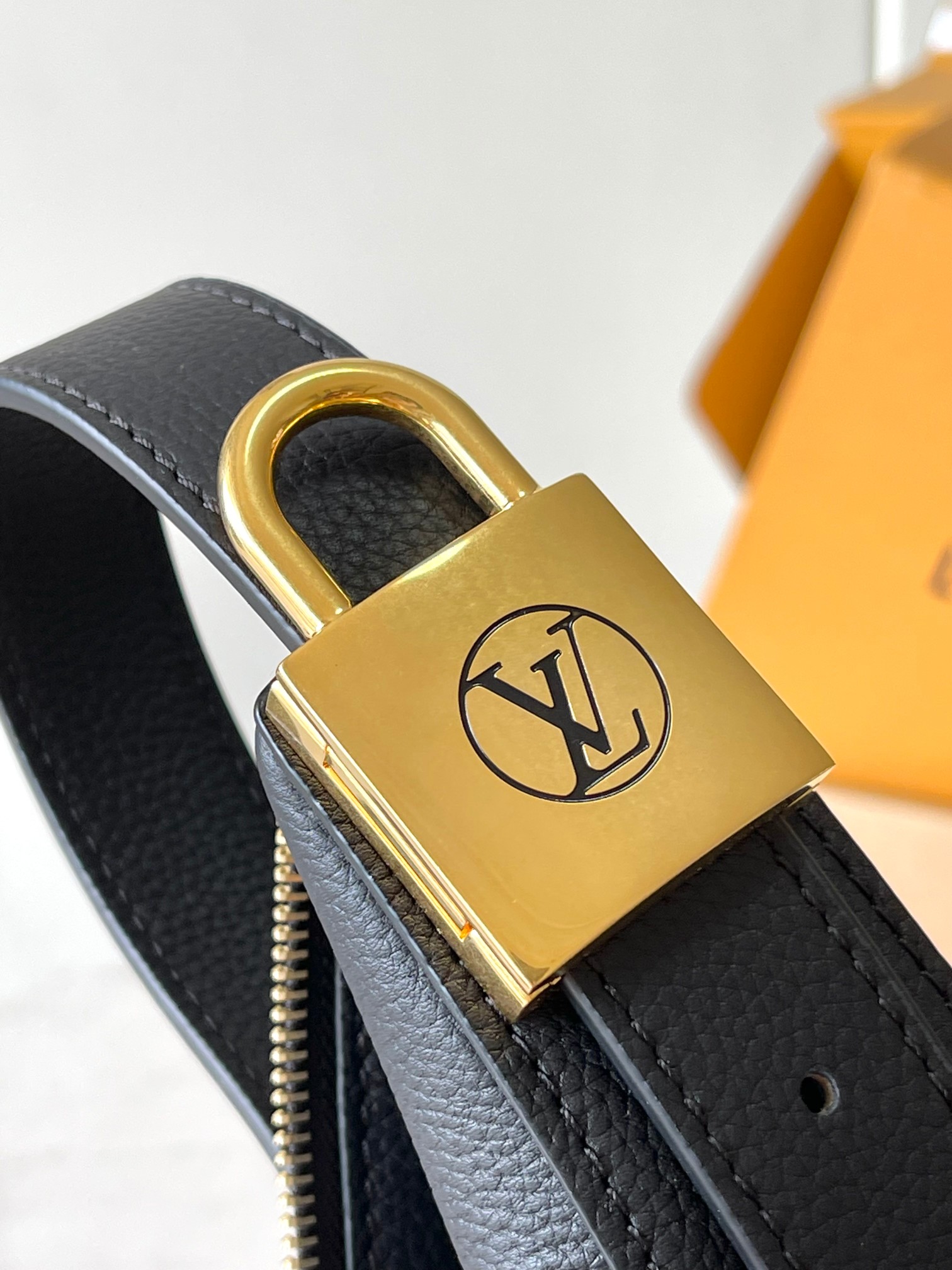 LV Bag