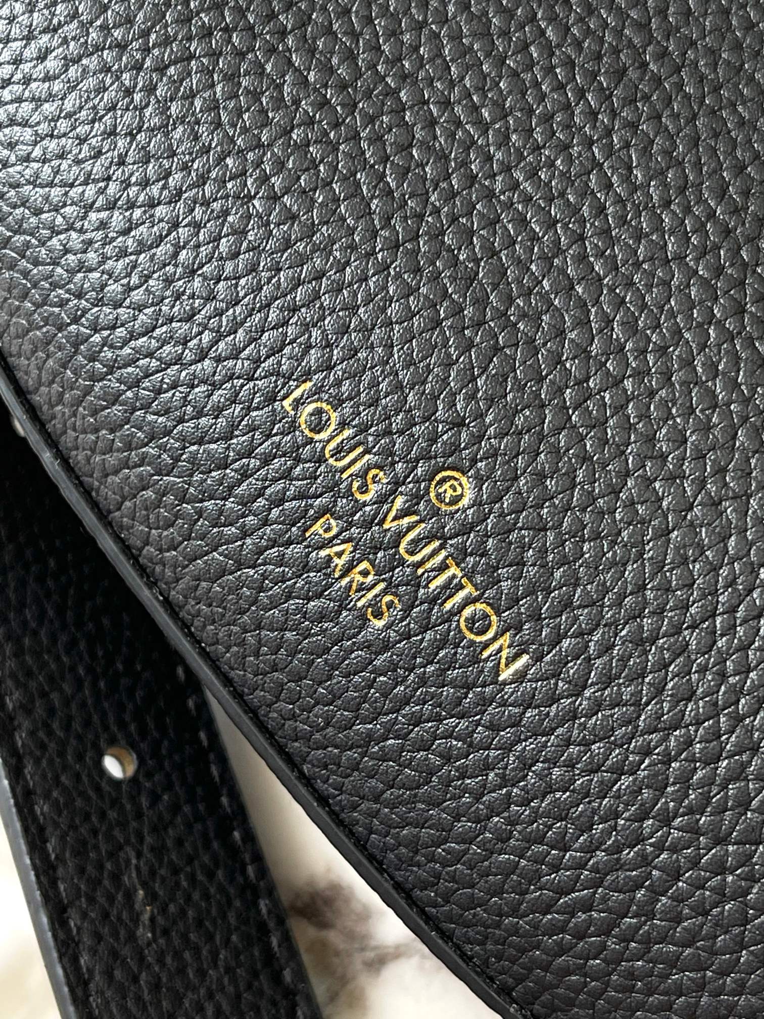 LV Bag