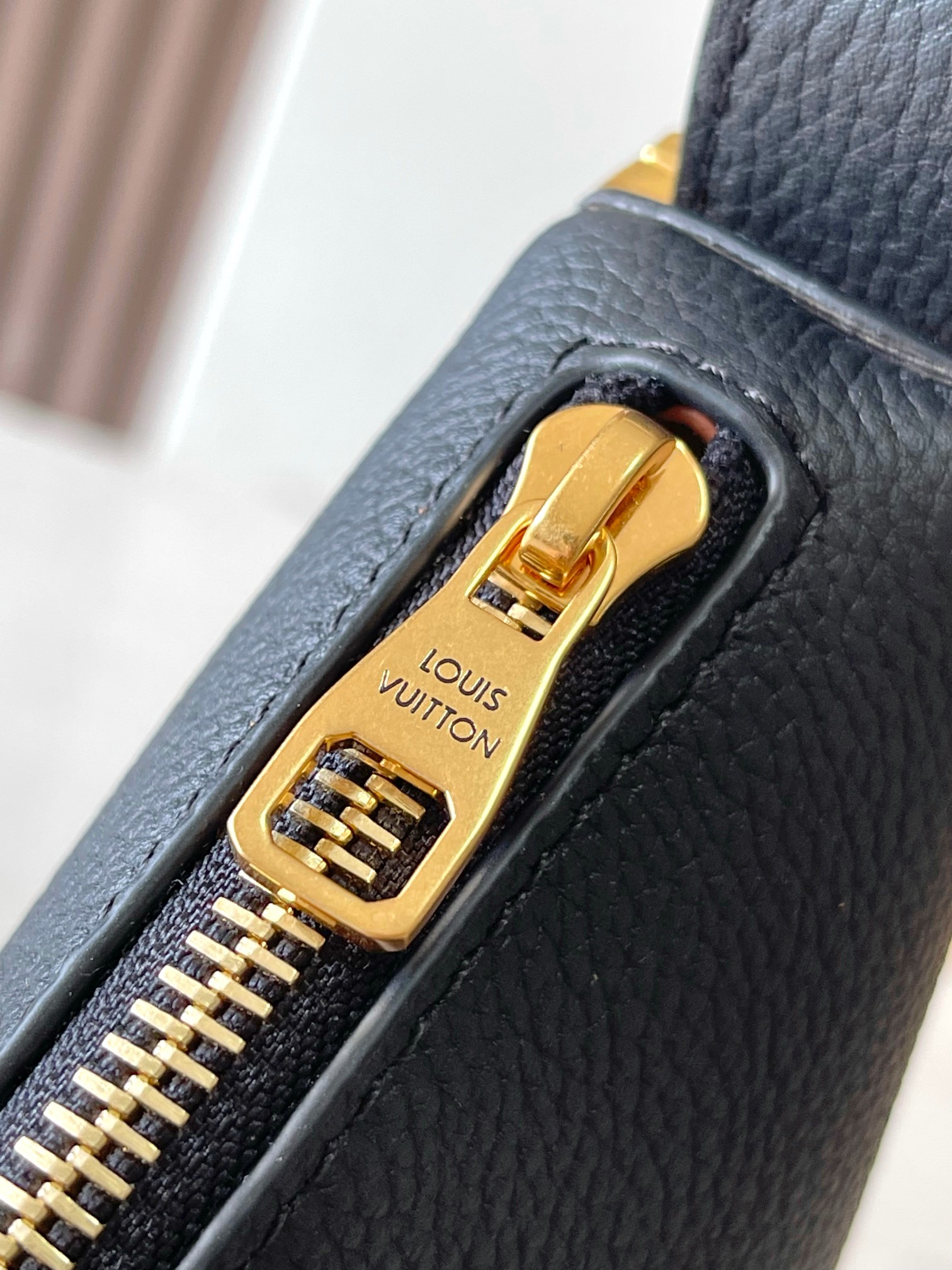 LV Bag