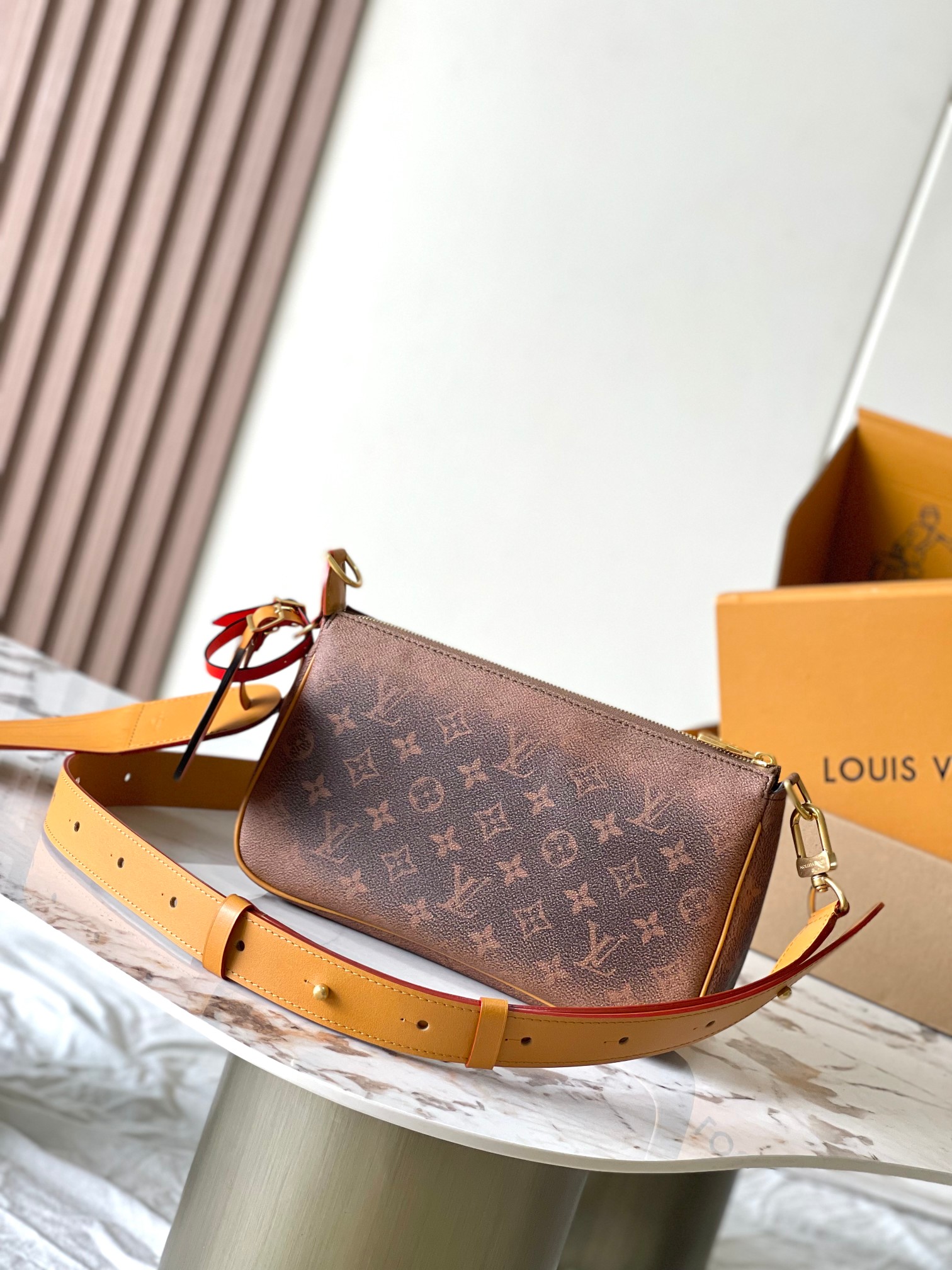 LV Bag