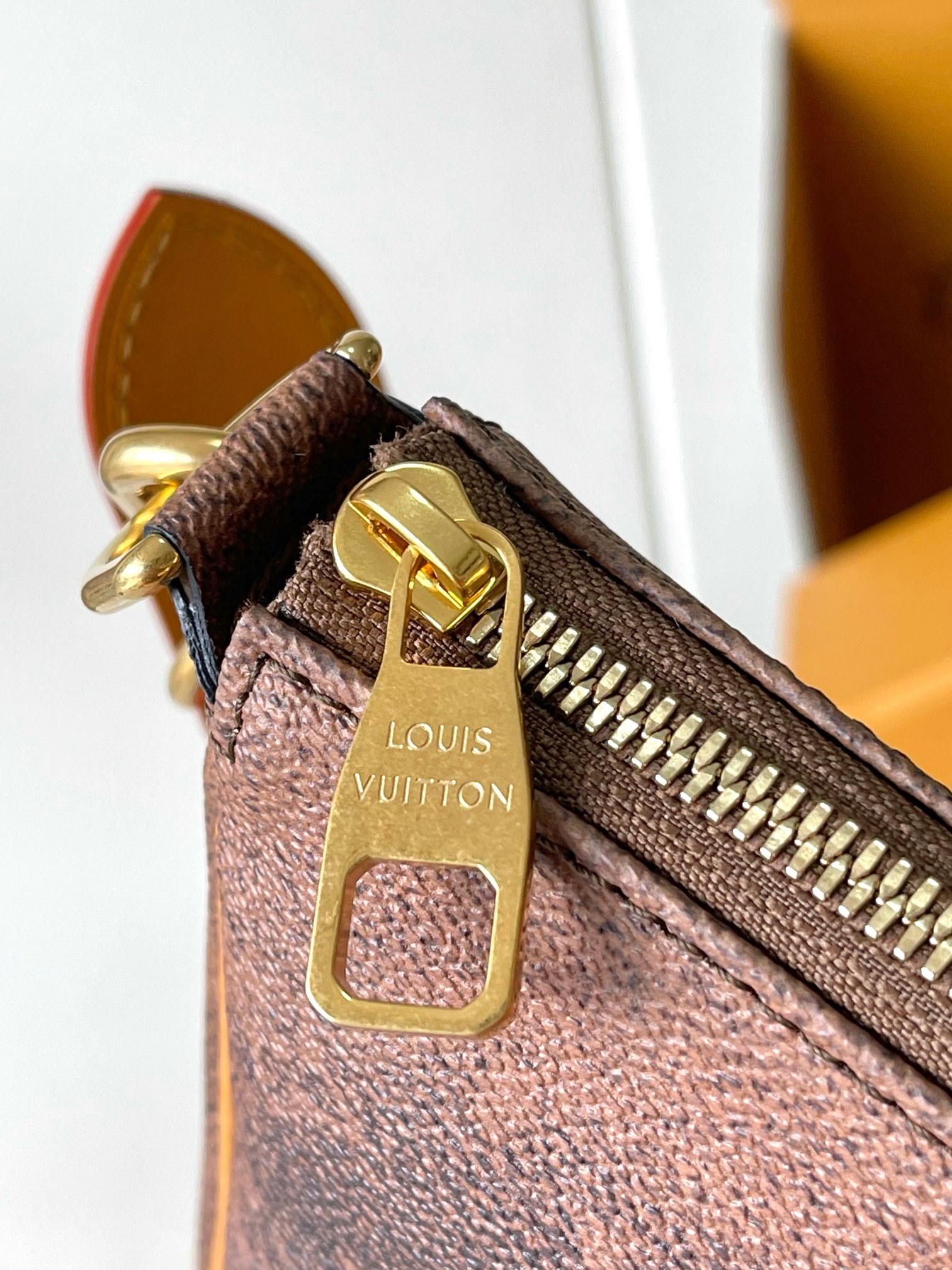 LV Bag