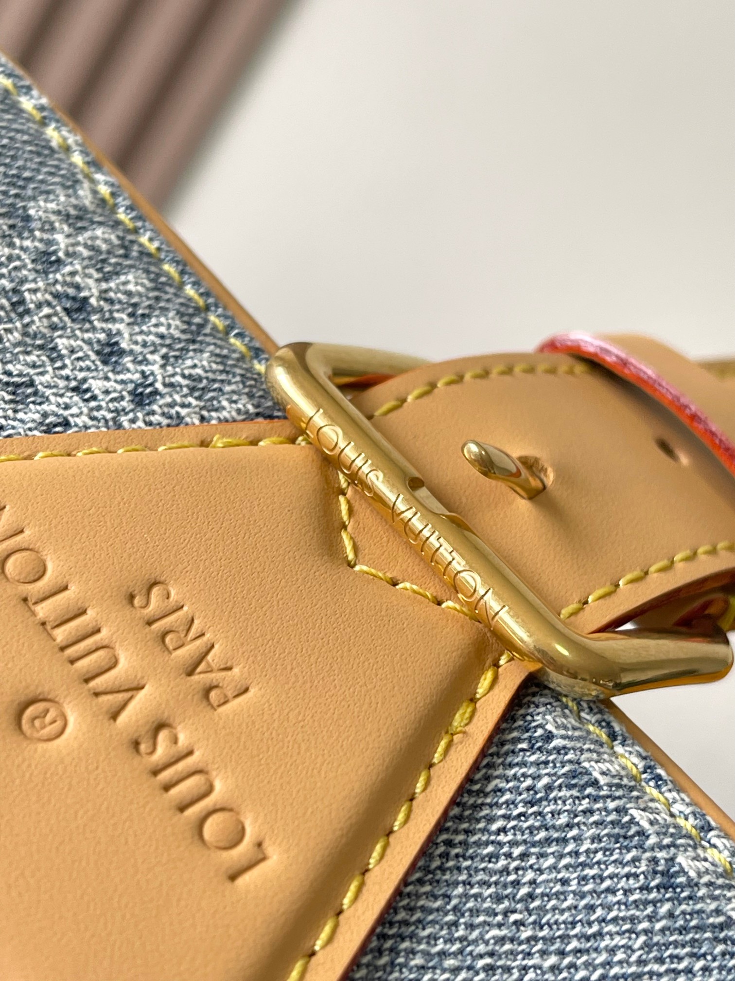LV Bag