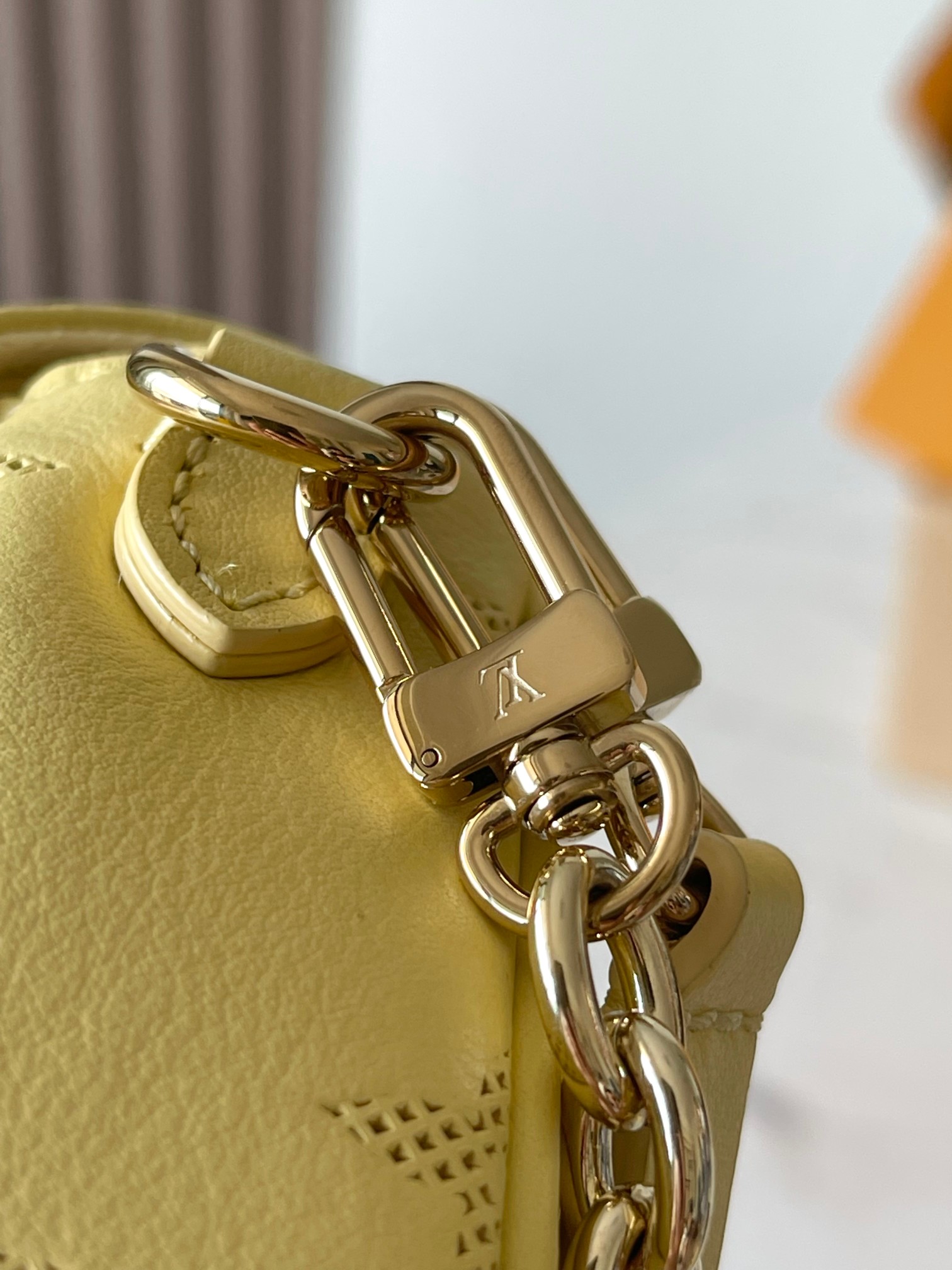 LV Bag