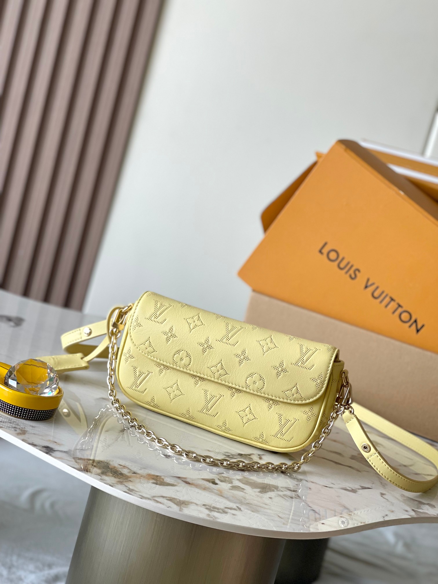 LV Bag