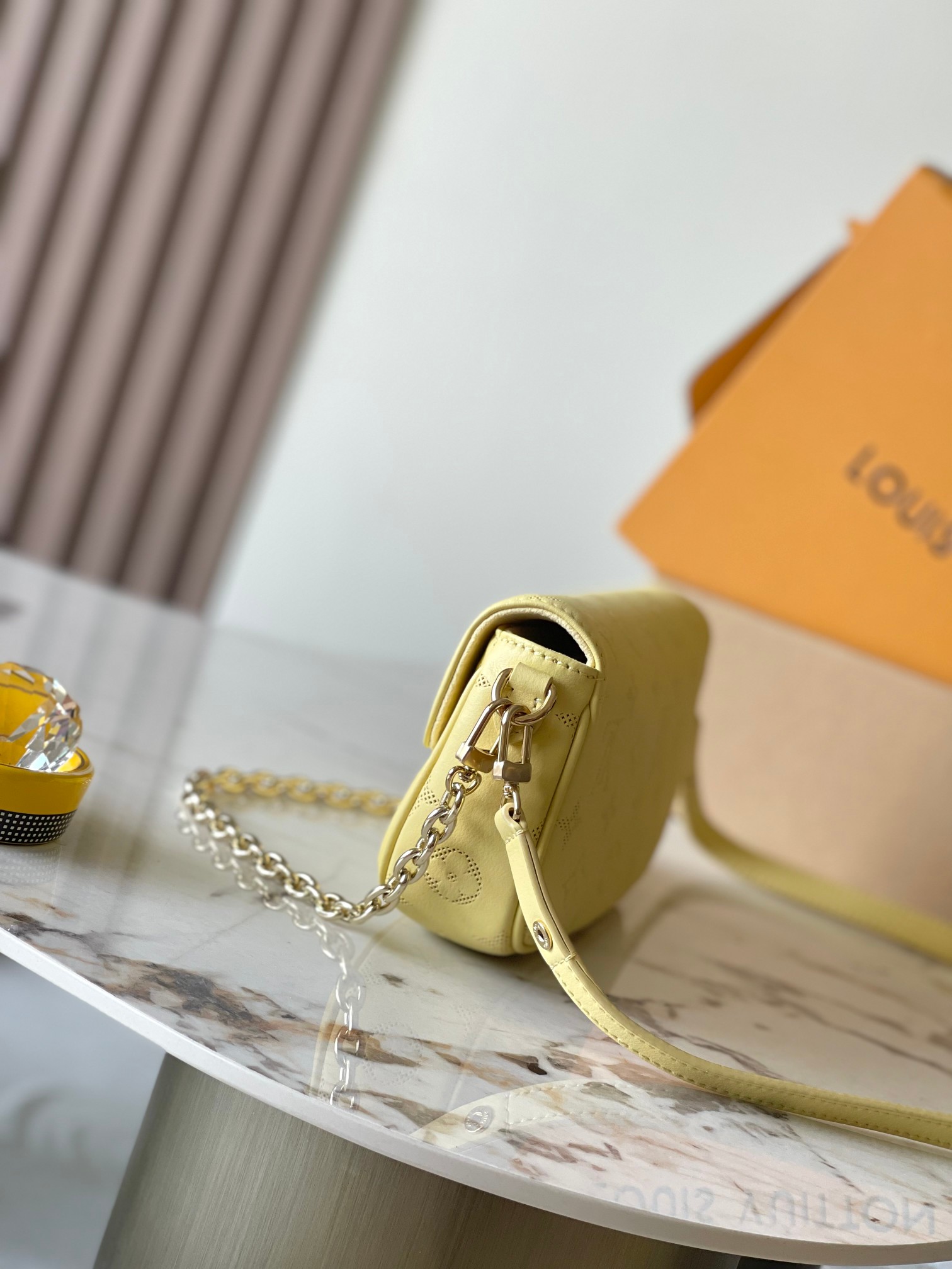 LV Bag