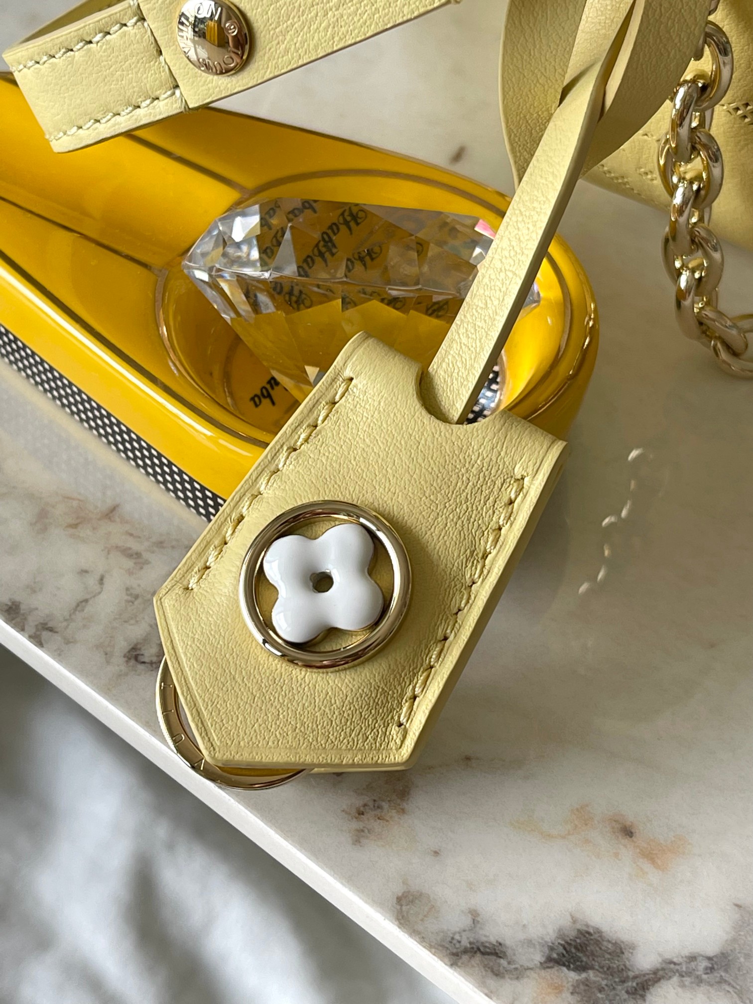 LV Bag
