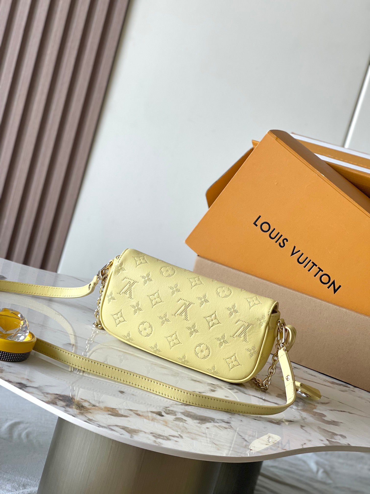 LV Bag