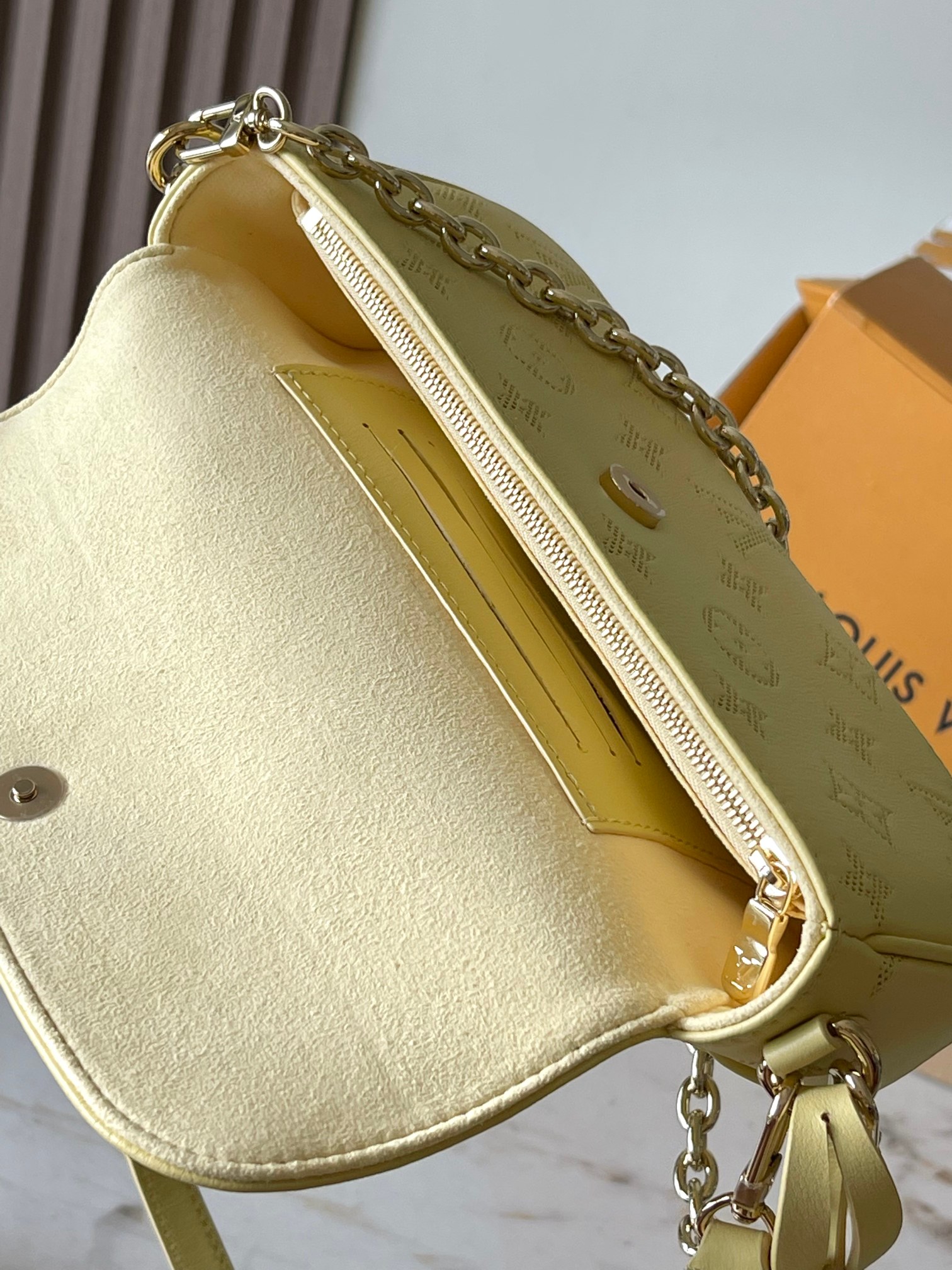 LV Bag