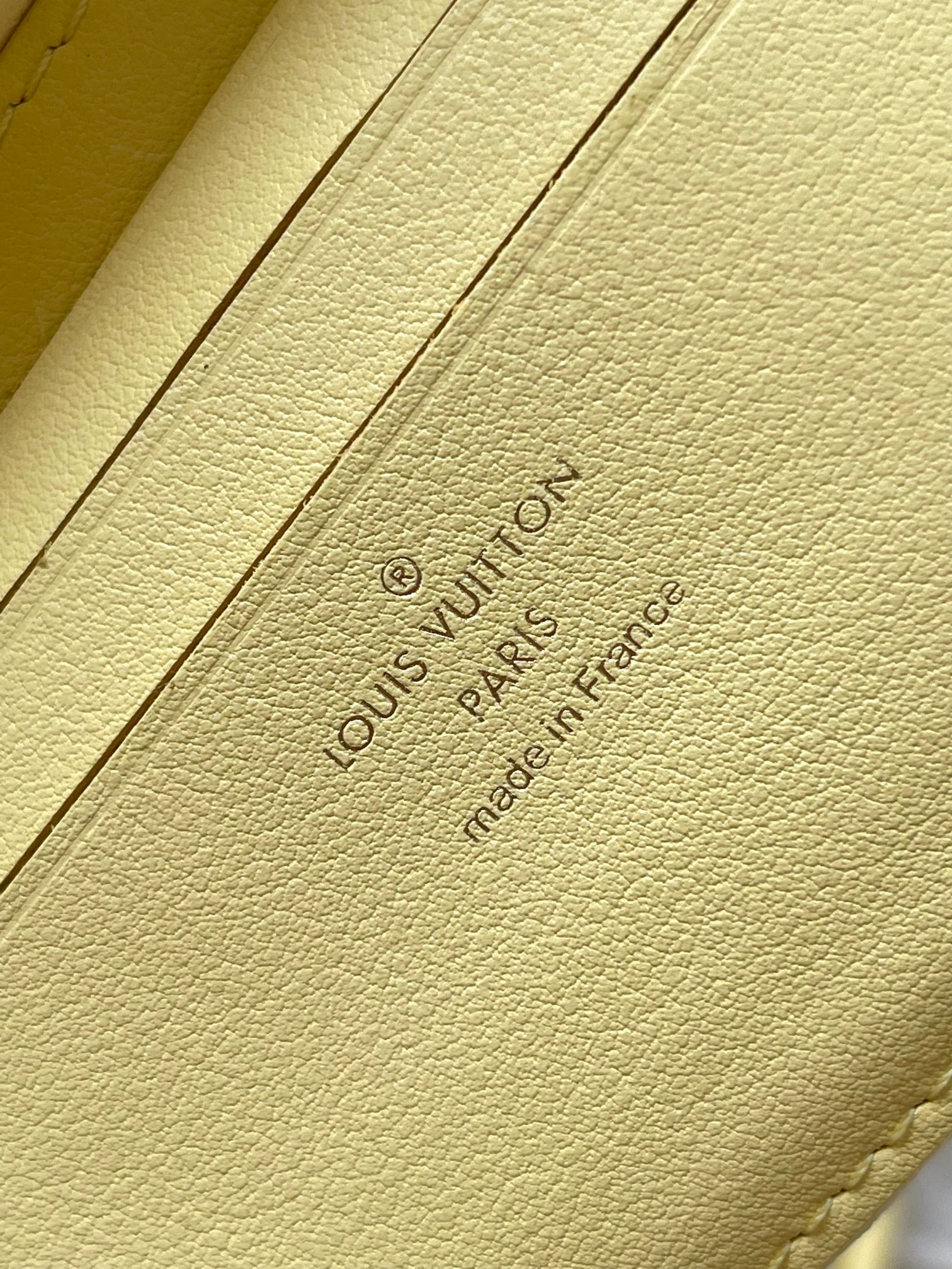LV Bag