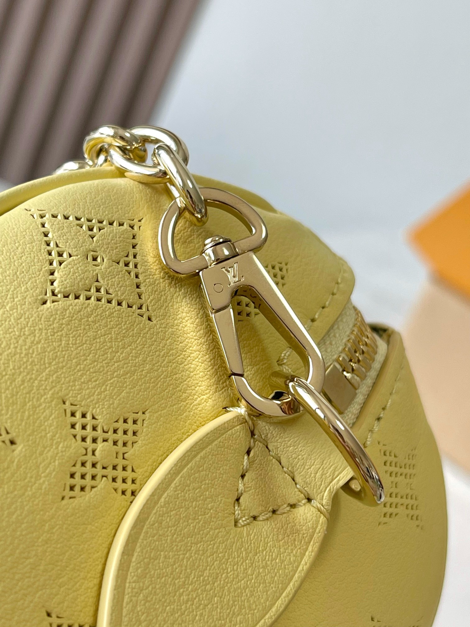 LV Bag