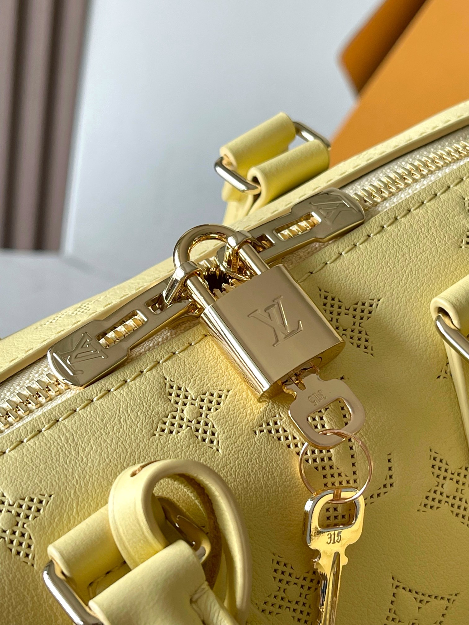 LV Bag