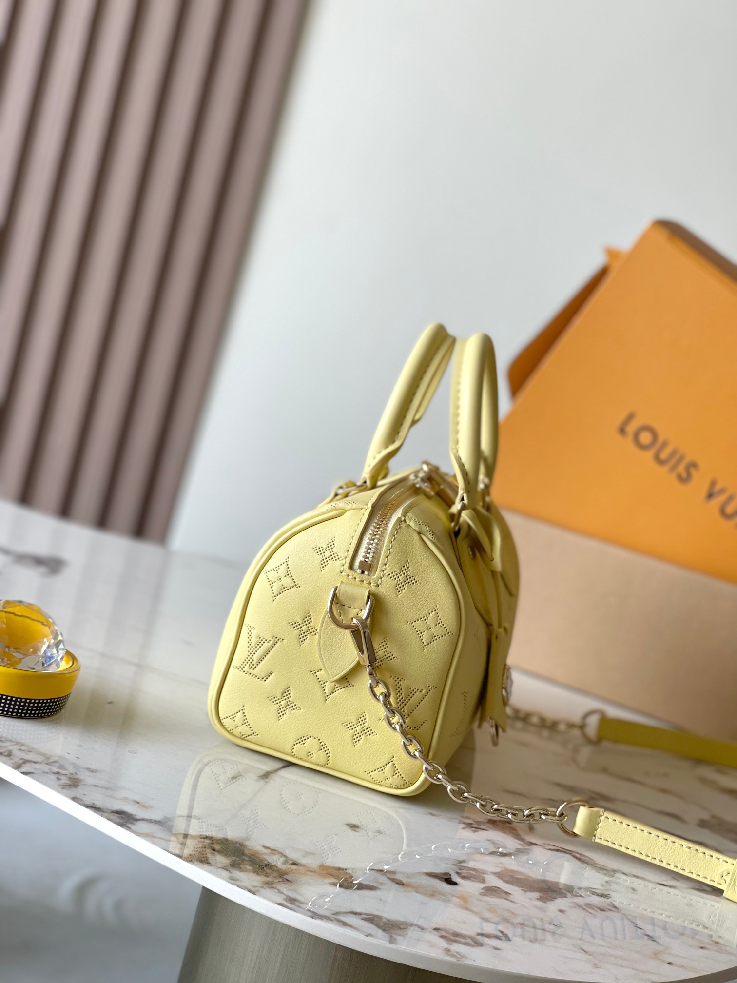 LV Bag