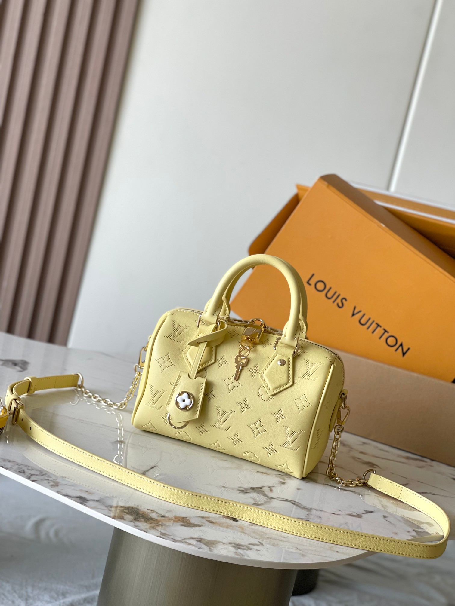 LV Bag