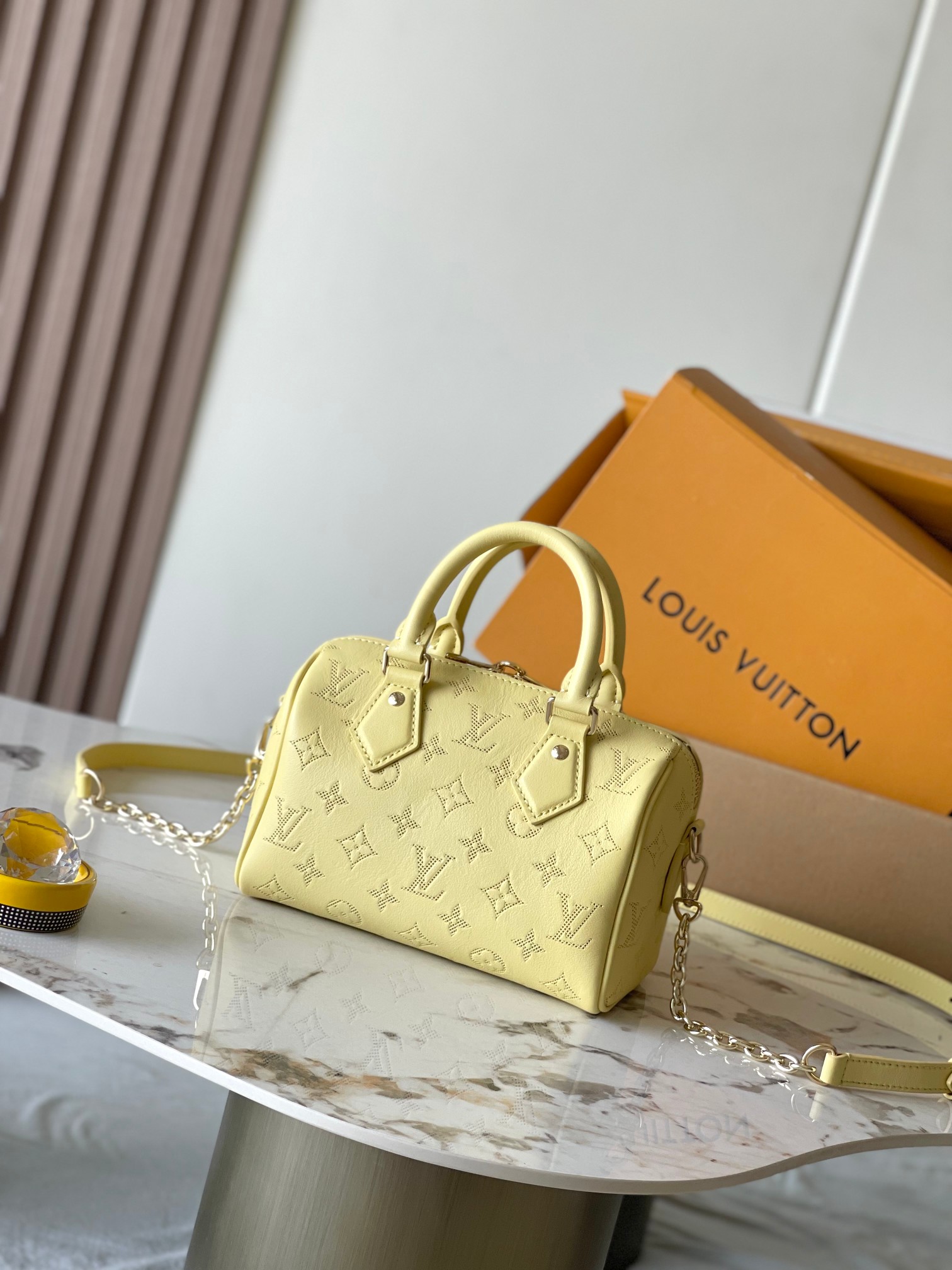 LV Bag