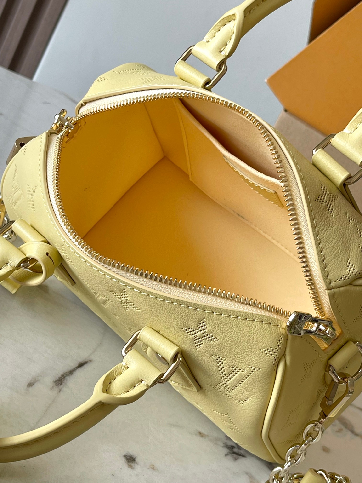 LV Bag