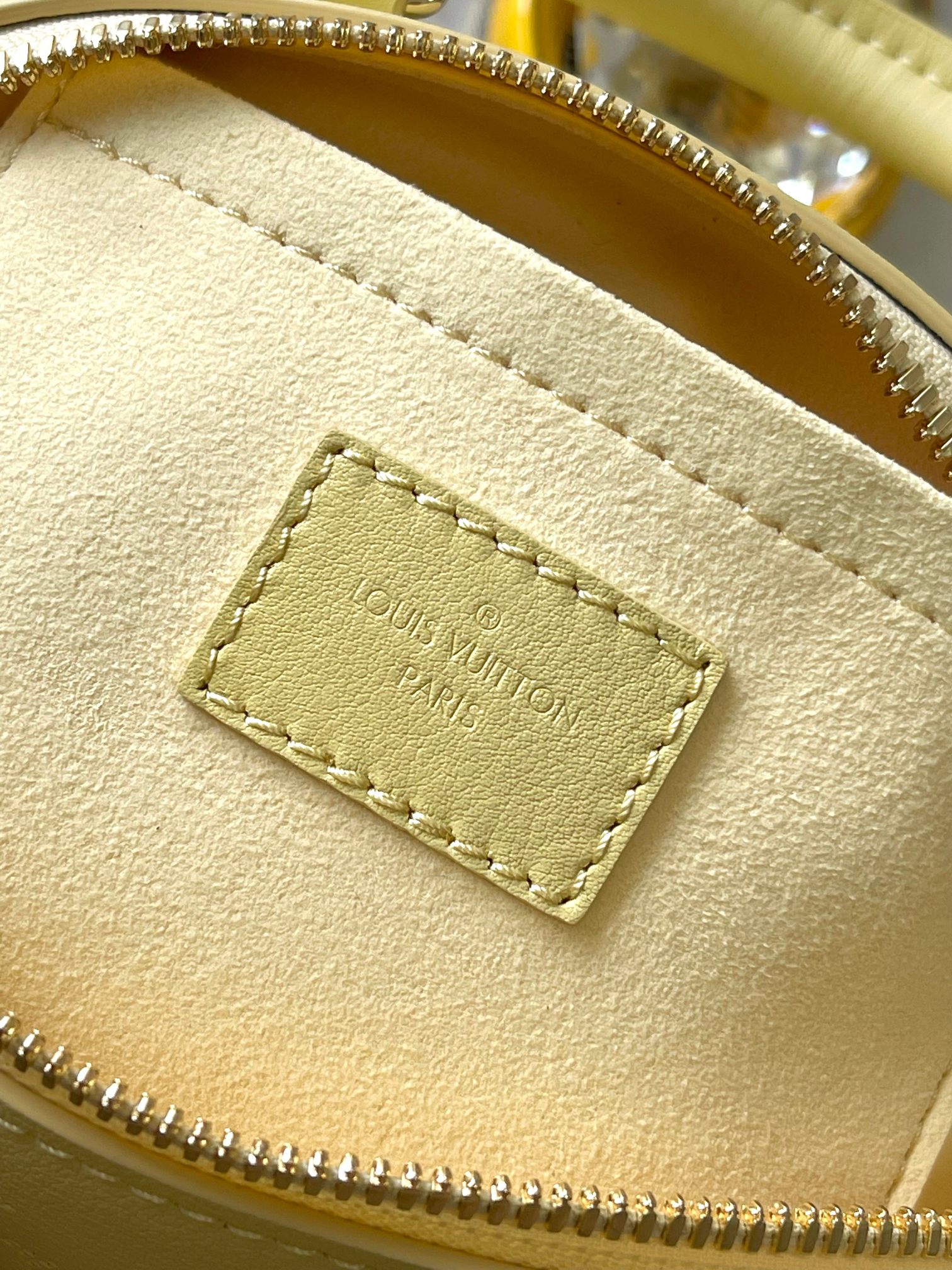 LV Bag