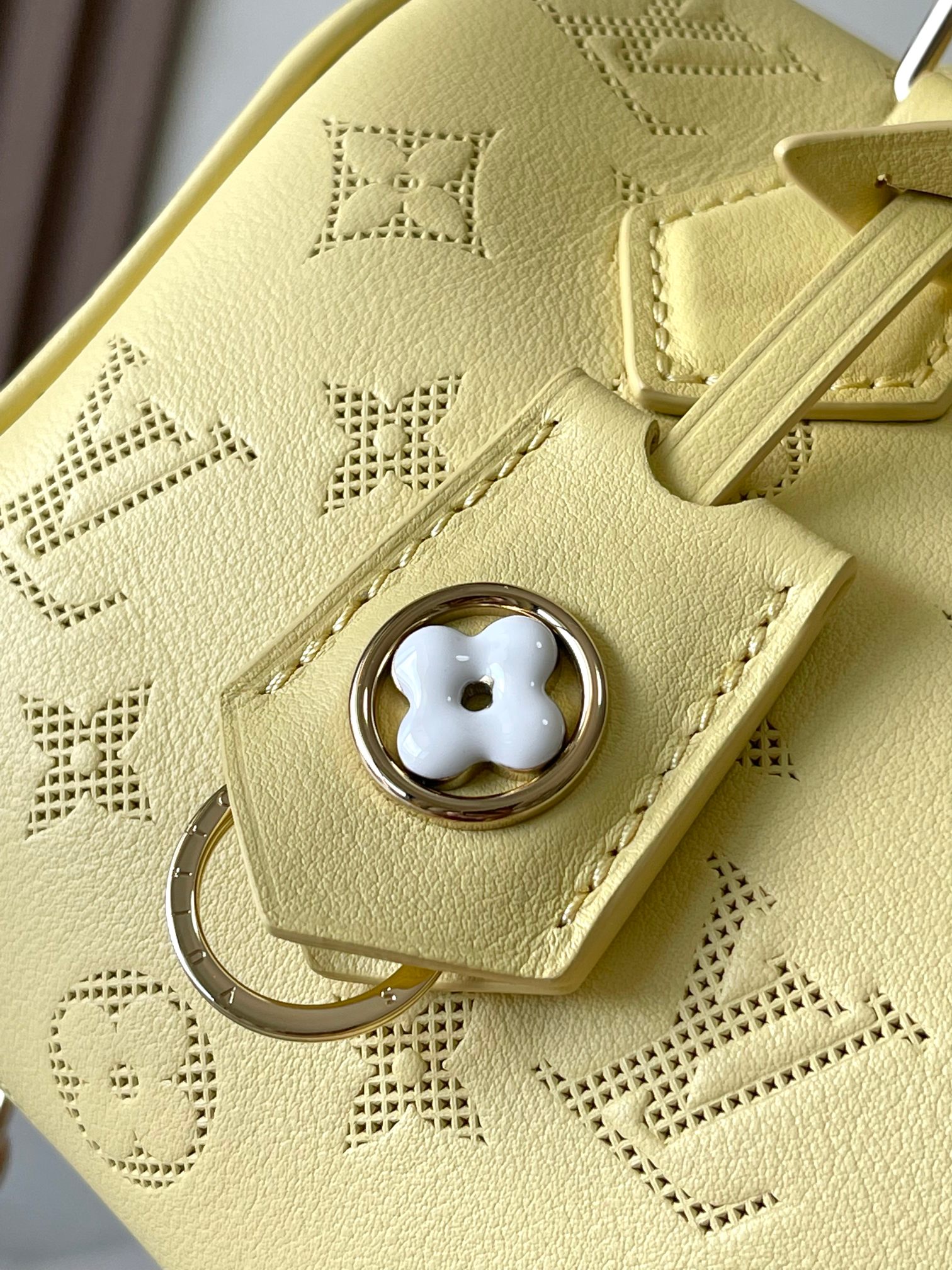 LV Bag
