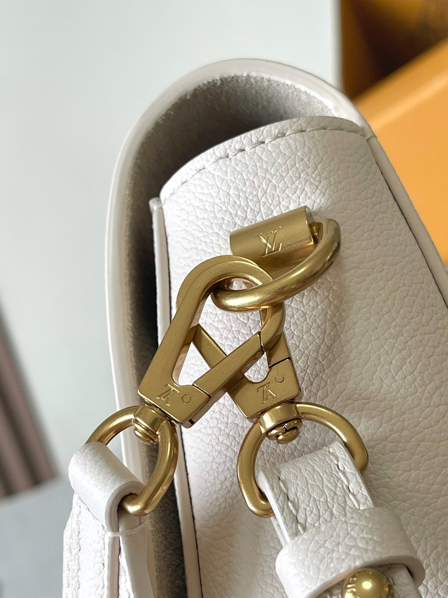 LV Bag