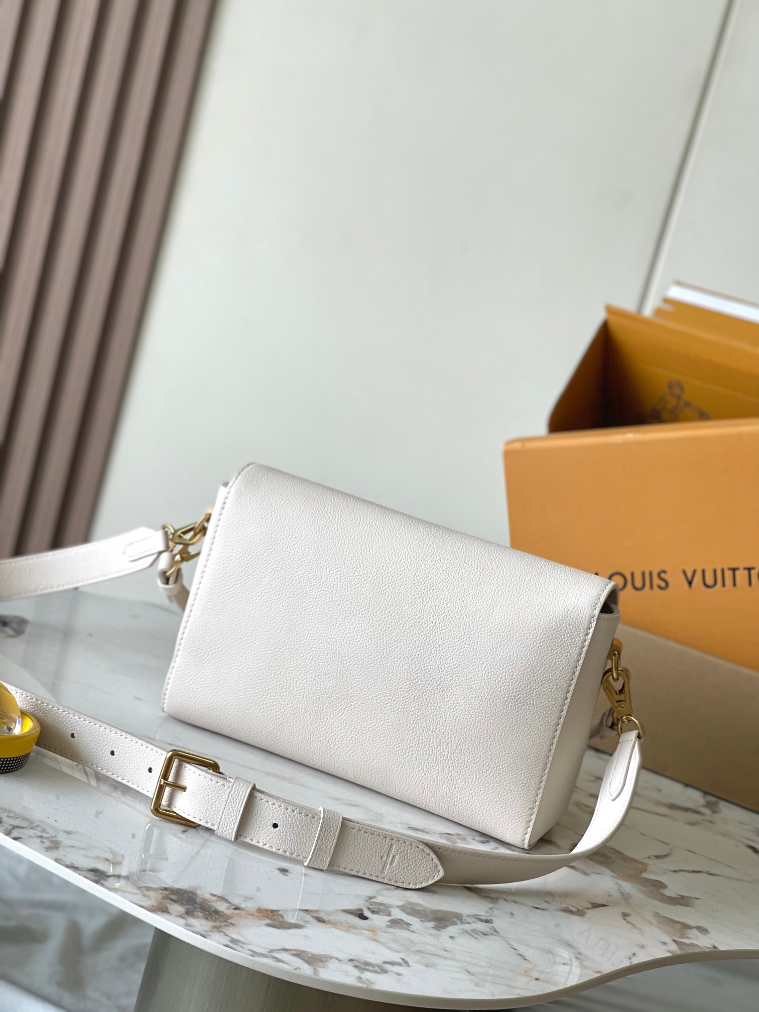 LV Bag