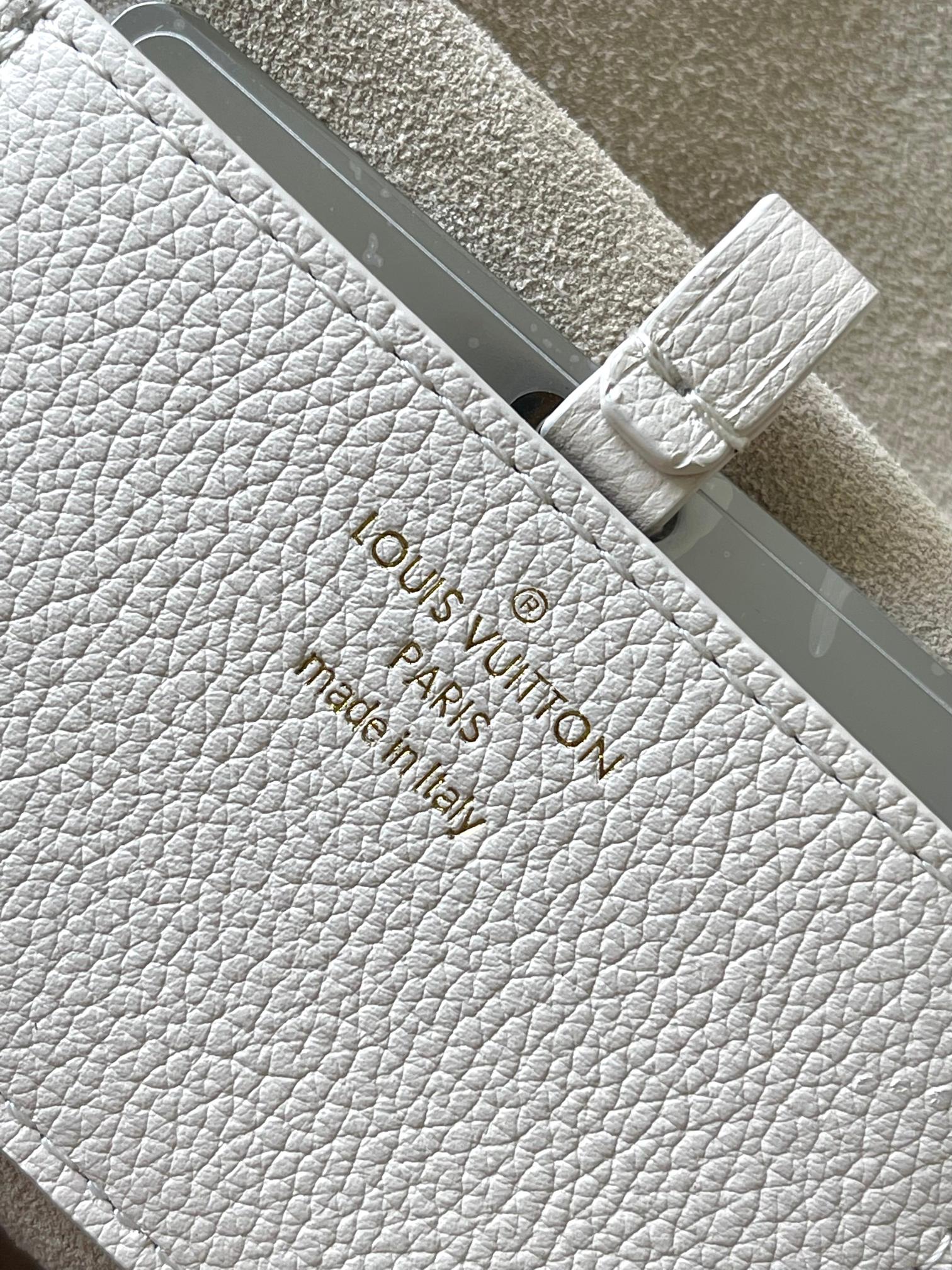 LV Bag