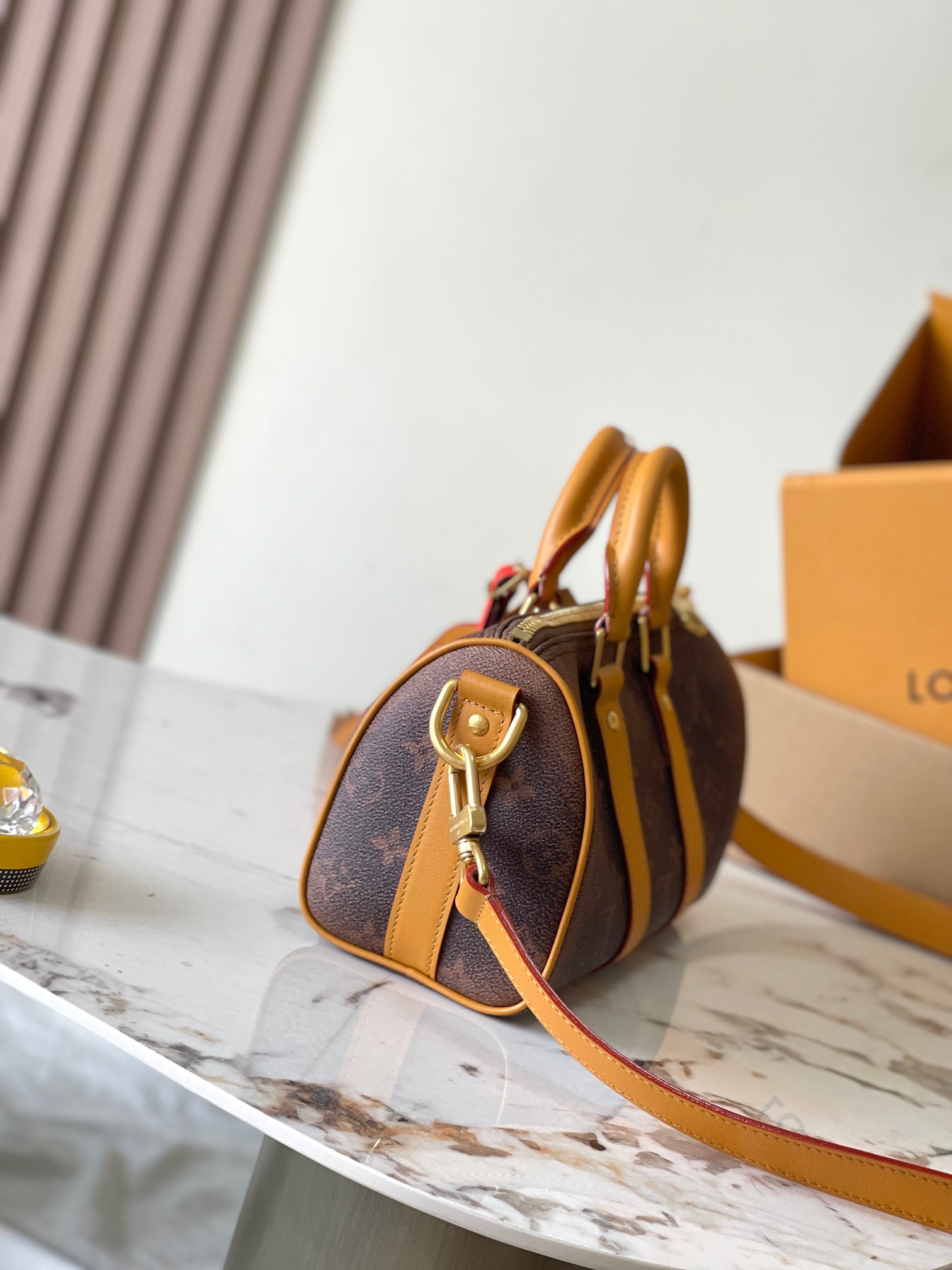 LV Bag