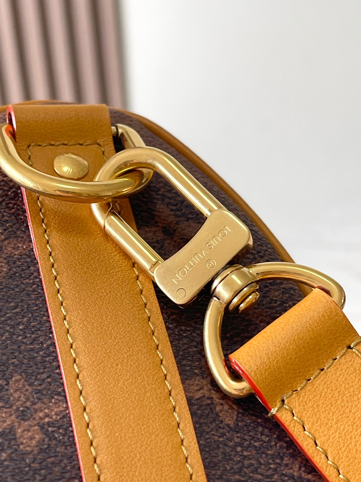 LV Bag