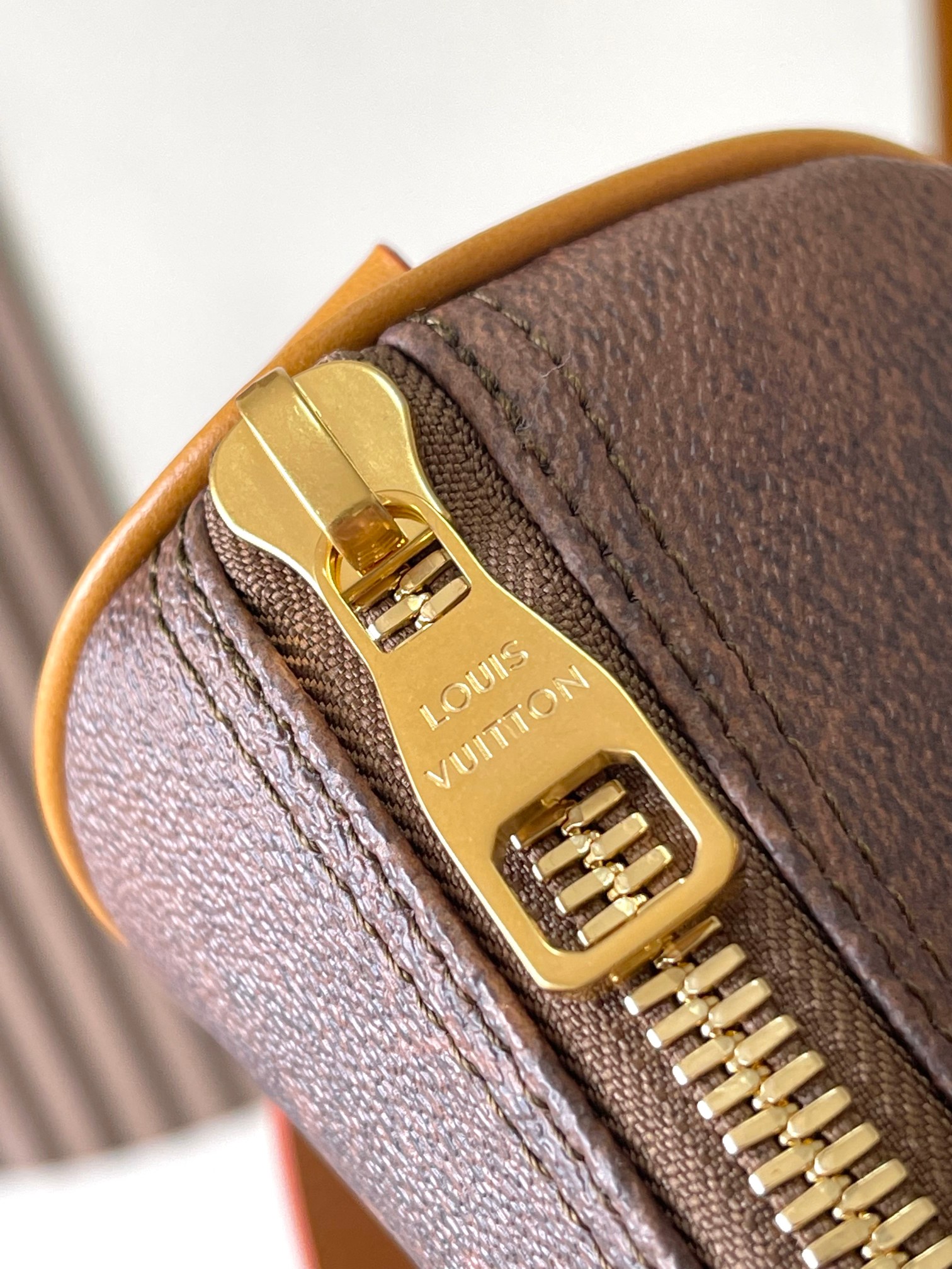LV Bag