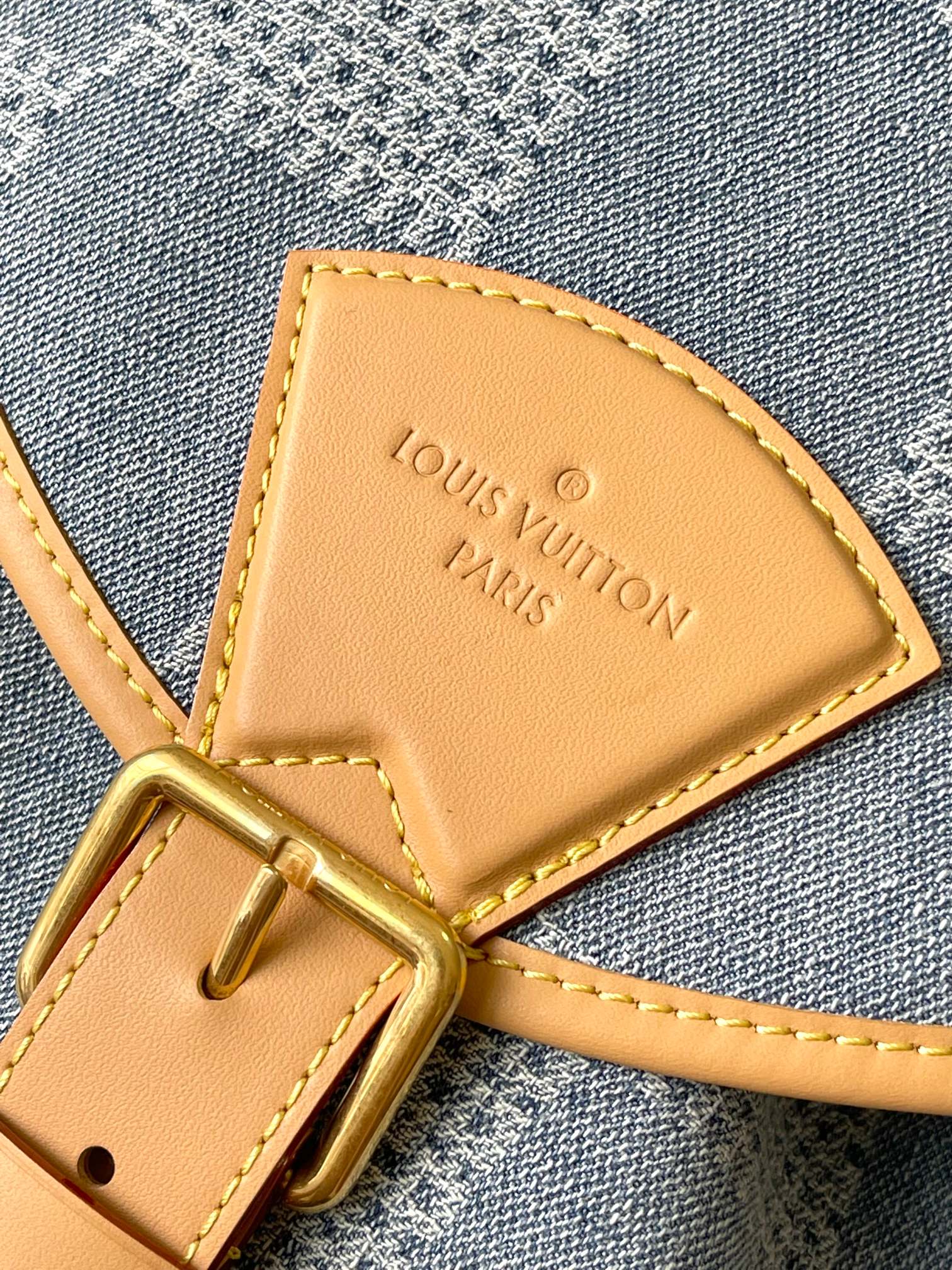 LV Bag