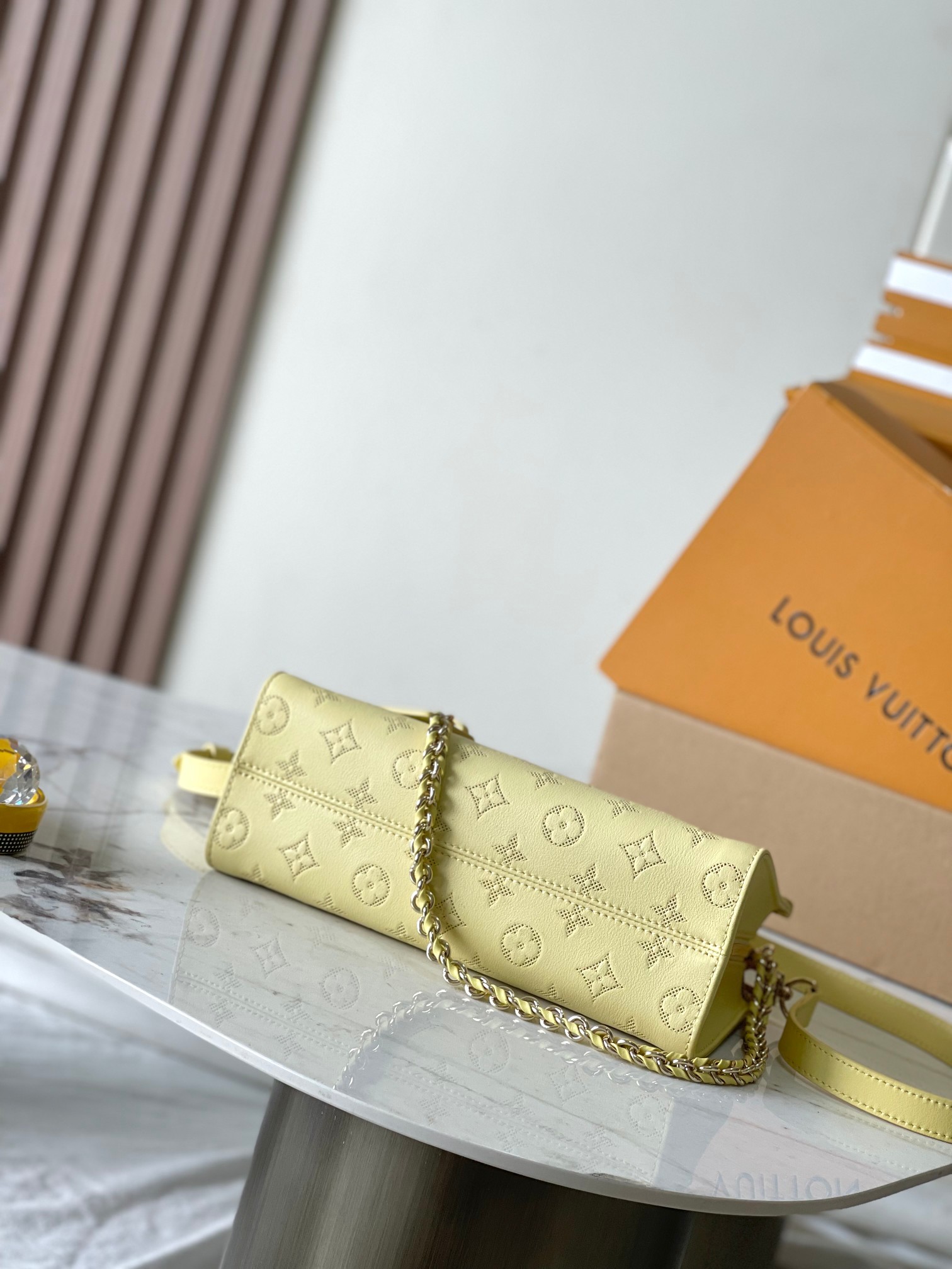 LV Bag