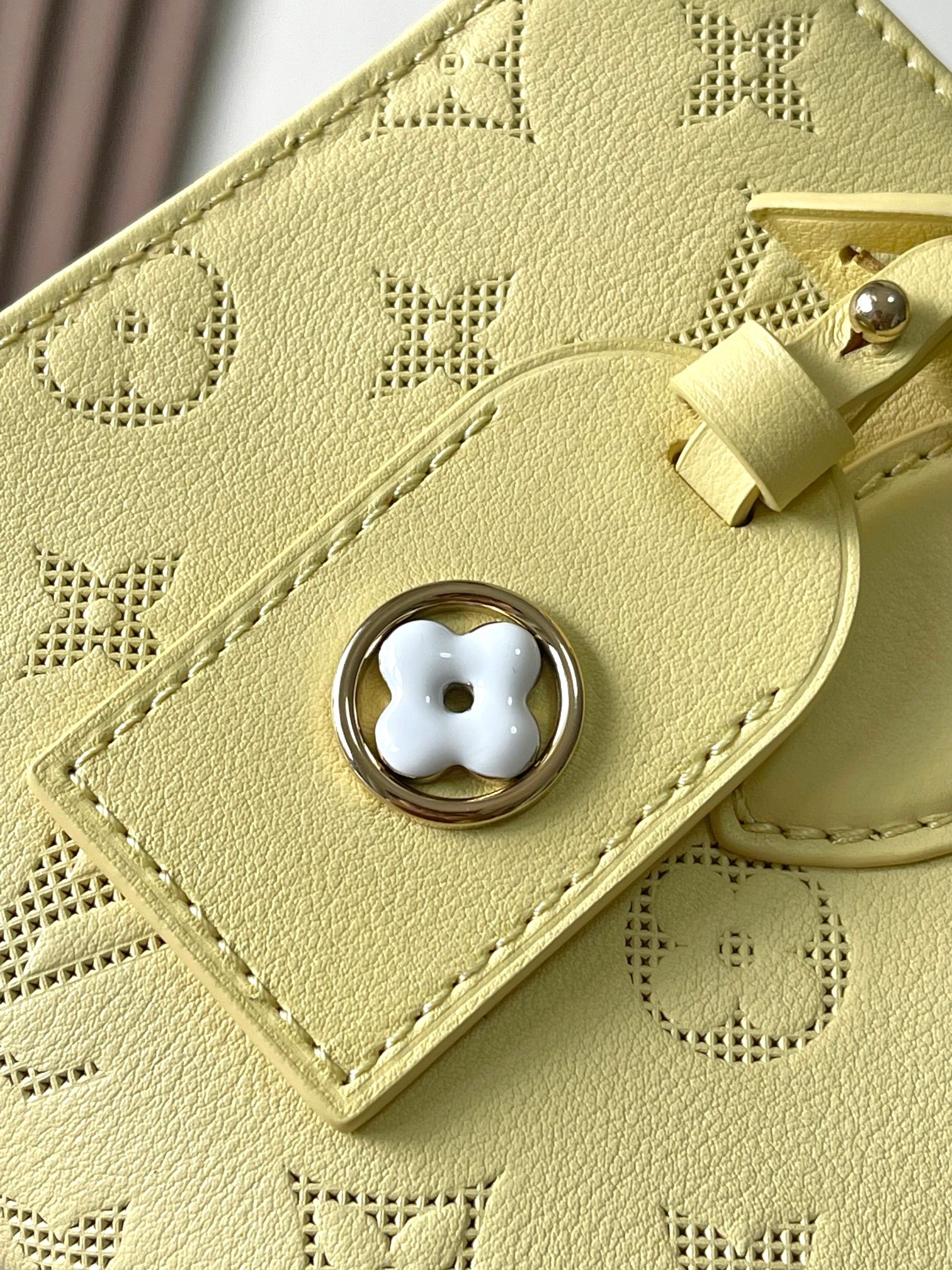 LV Bag