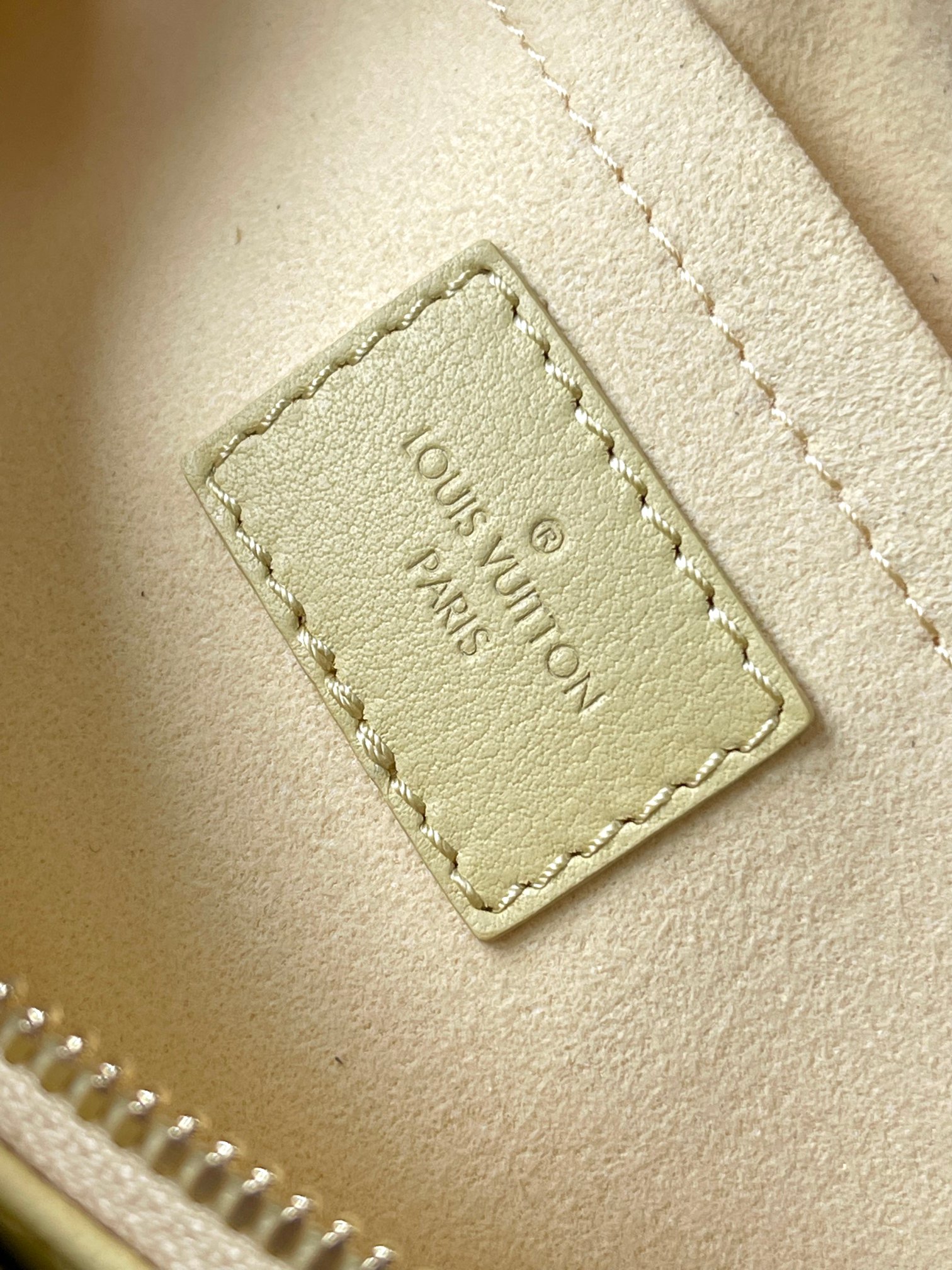 LV Bag