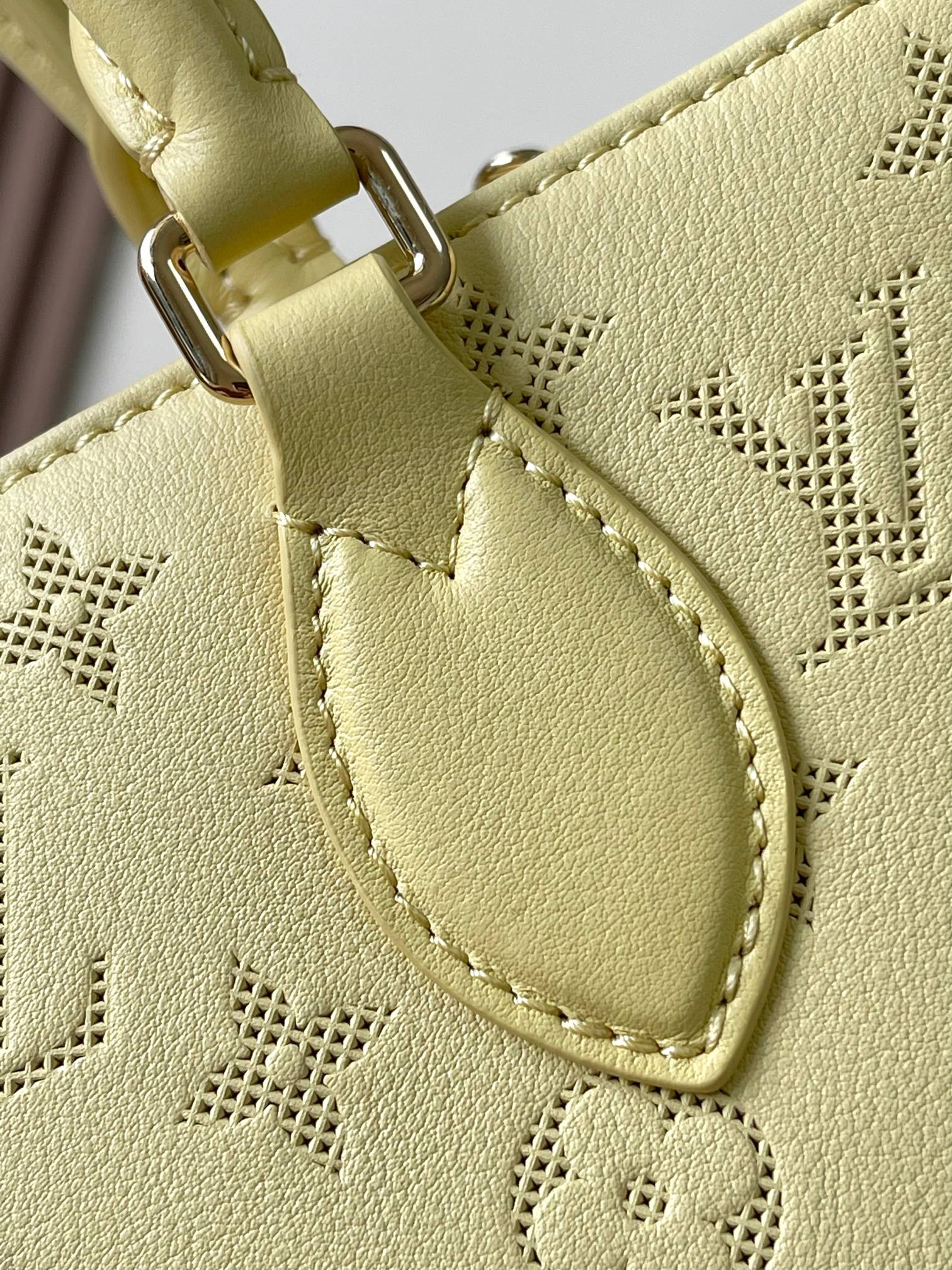 LV Bag
