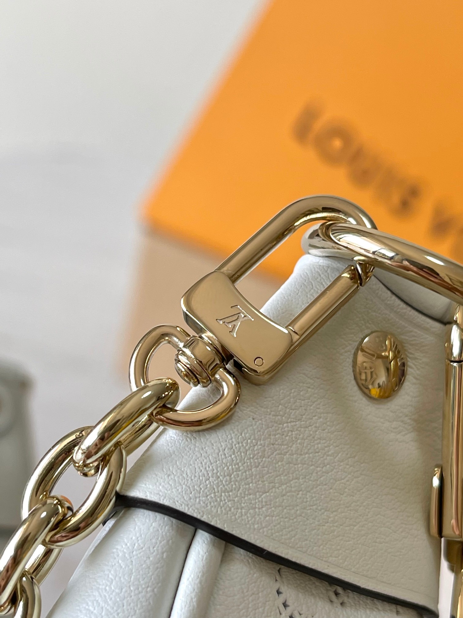 LV Bag