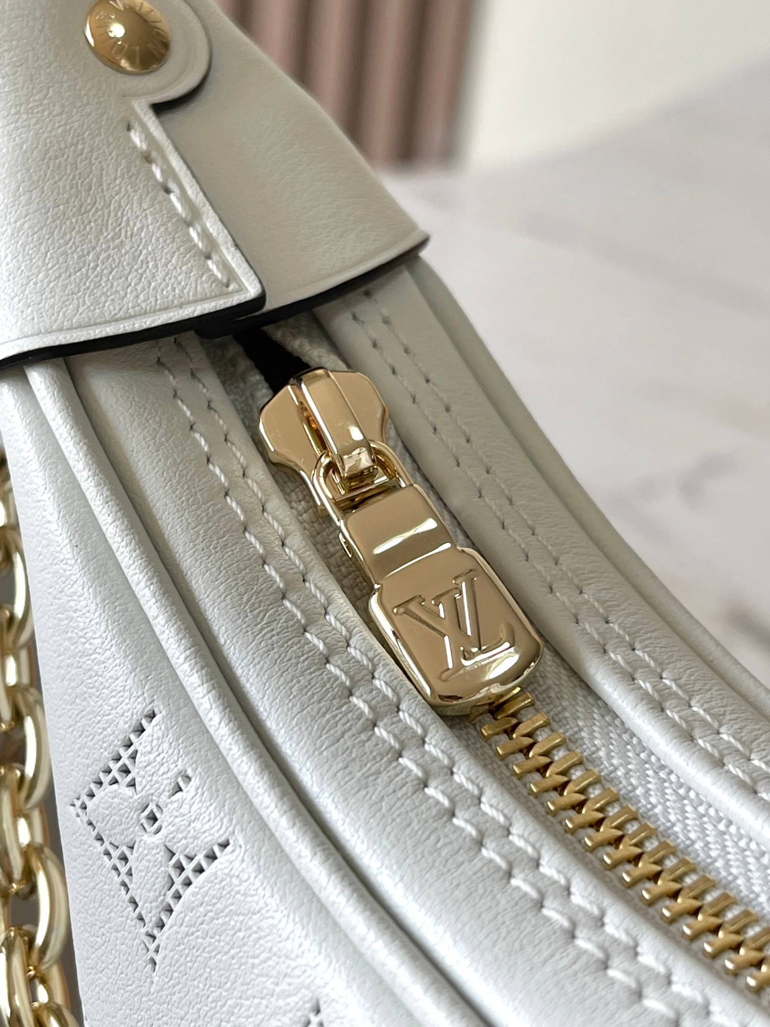 LV Bag