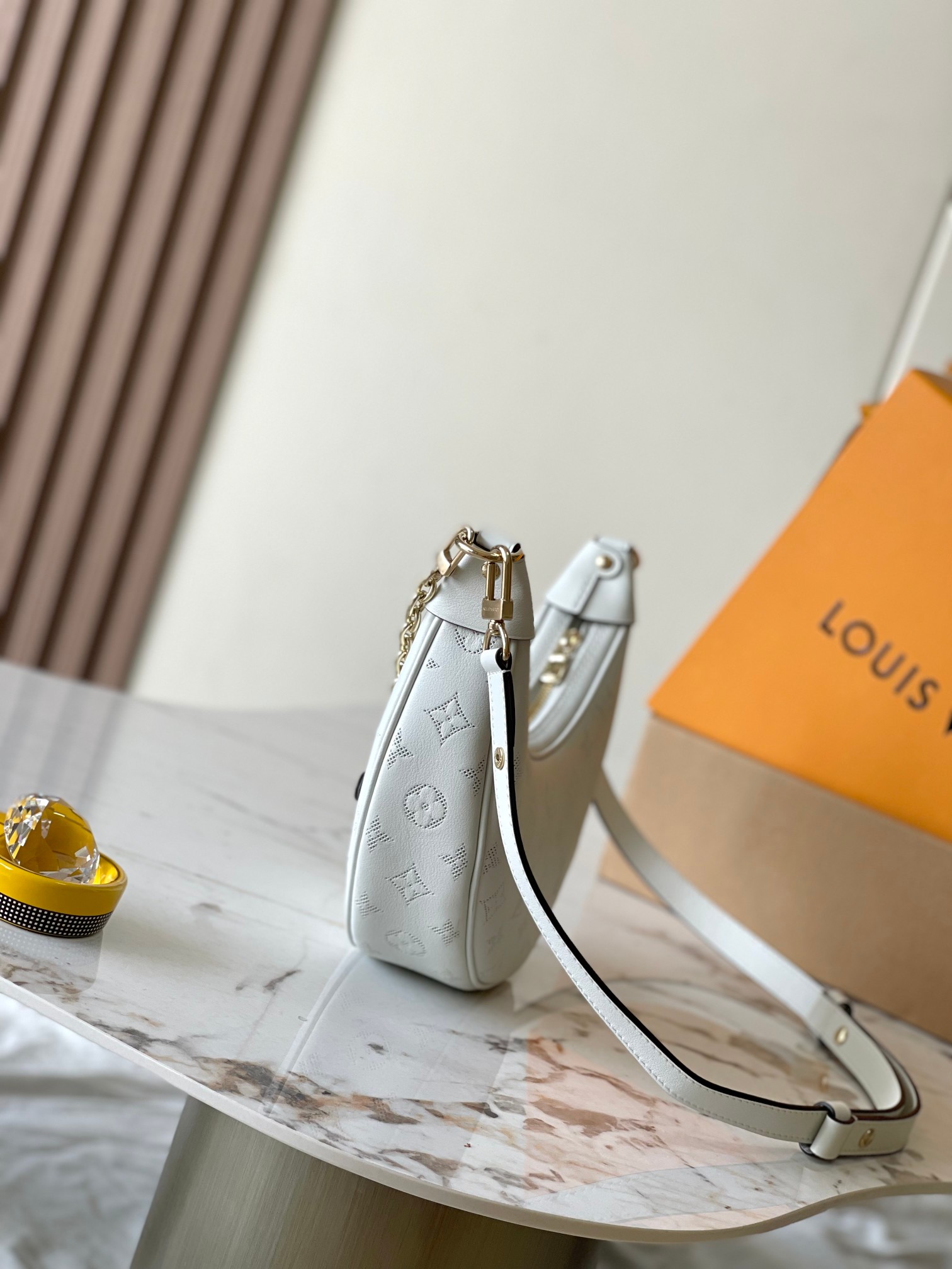 LV Bag